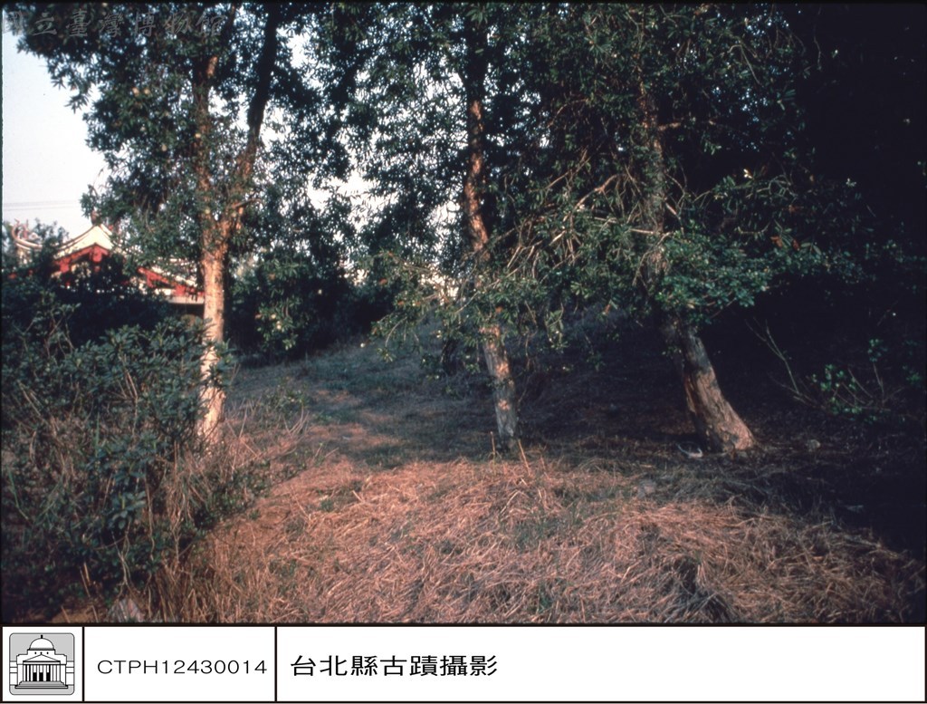 大圖瀏覽