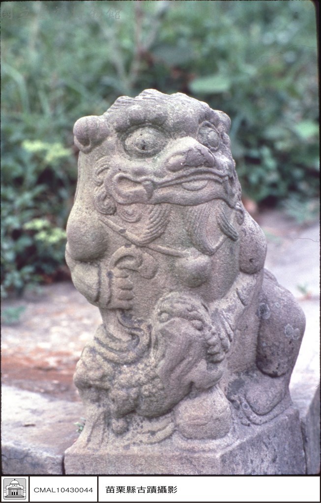 大圖瀏覽