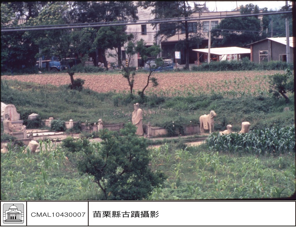 大圖瀏覽