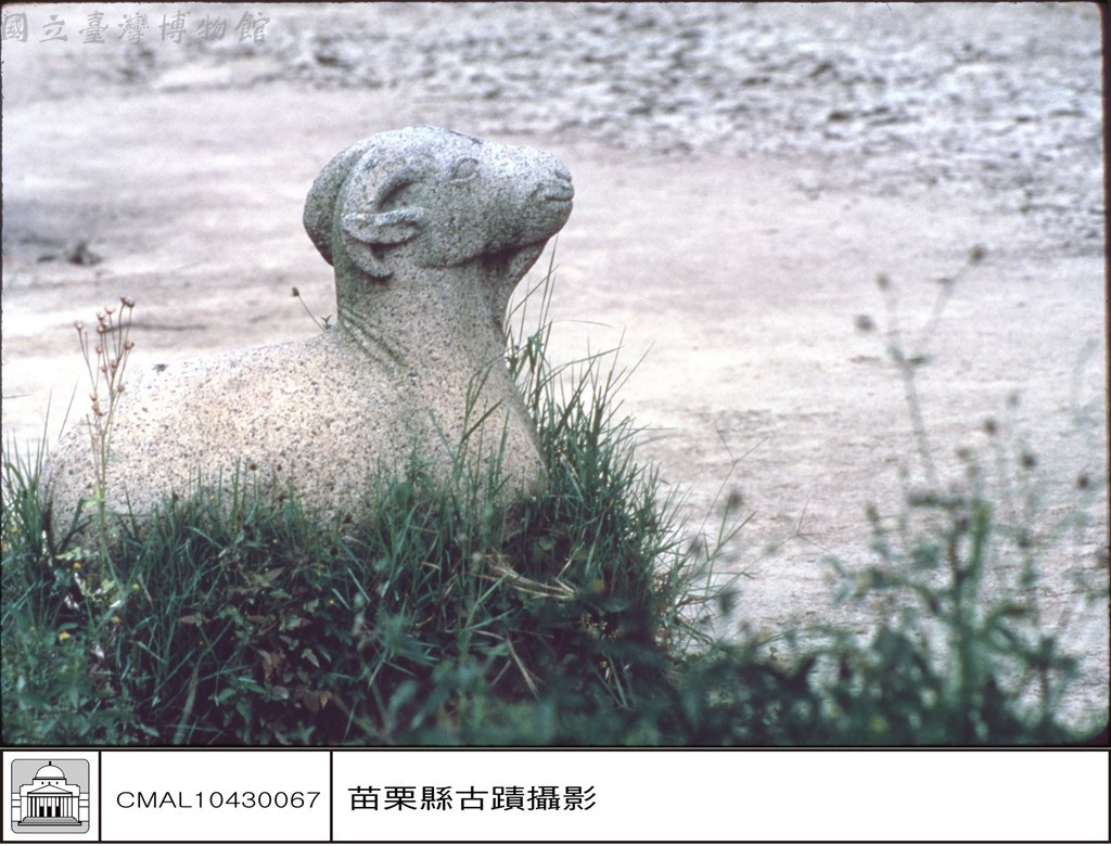 大圖瀏覽