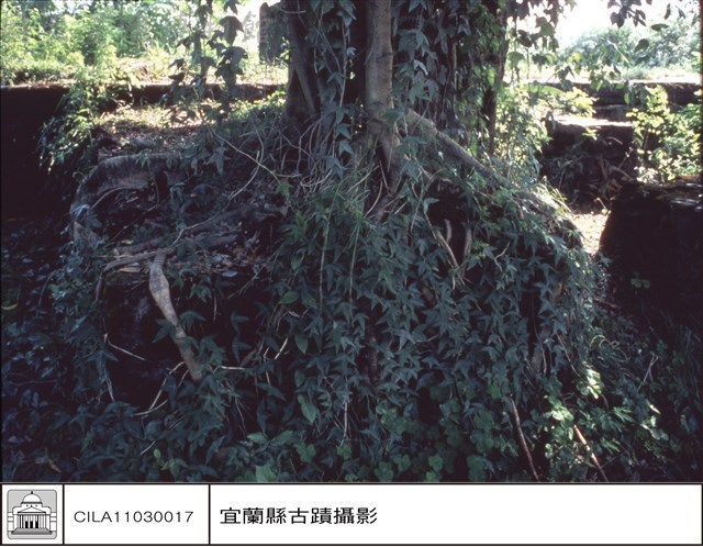 砲位中之牆藏品圖，第1張