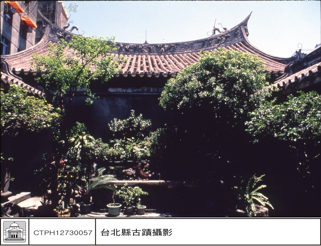 大圖瀏覽