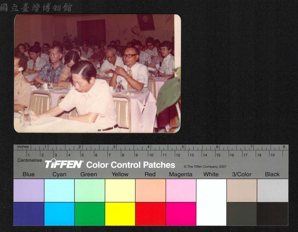 大圖瀏覽