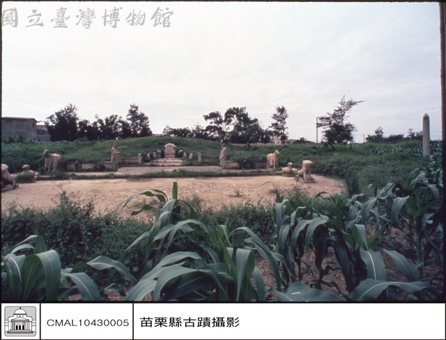 全景藏品圖，第1張