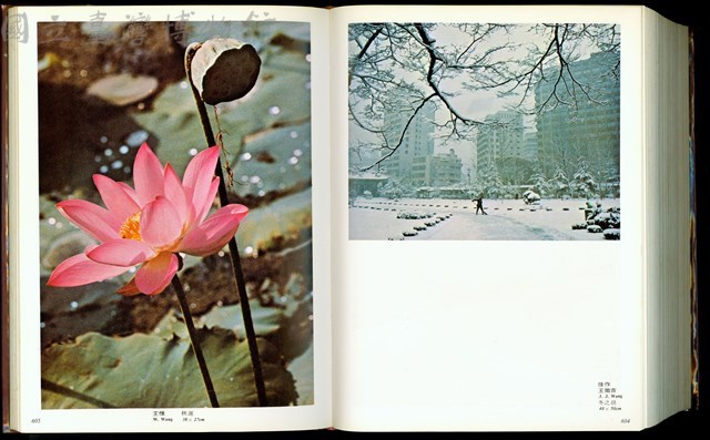 (P604-605)藏品圖，第1張