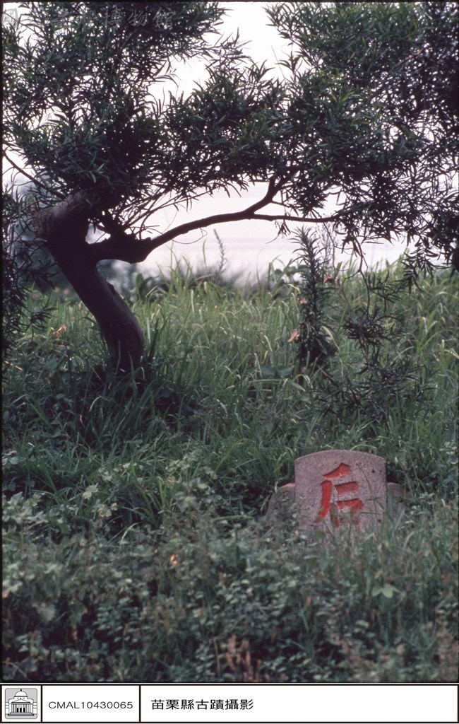 大圖瀏覽