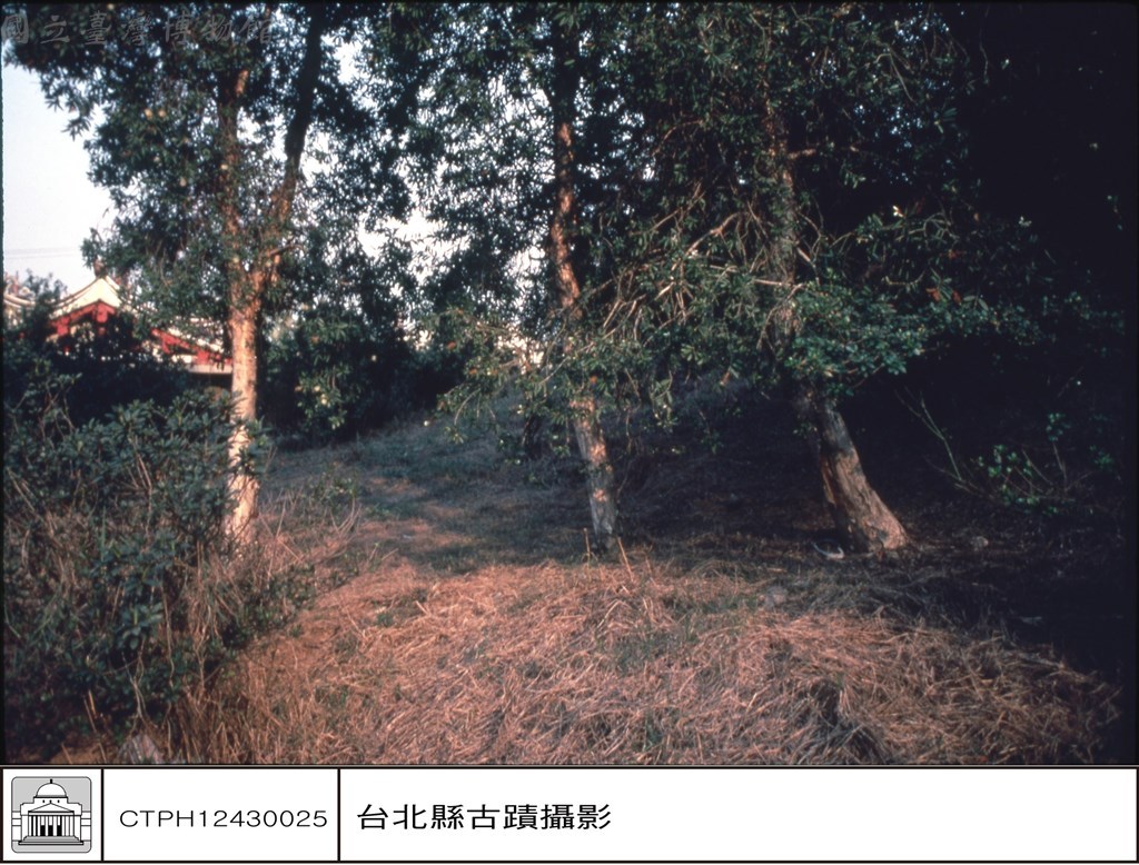 大圖瀏覽