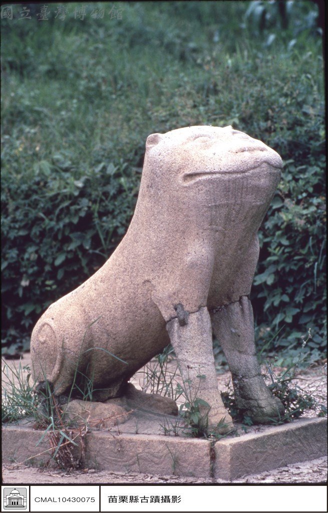 大圖瀏覽