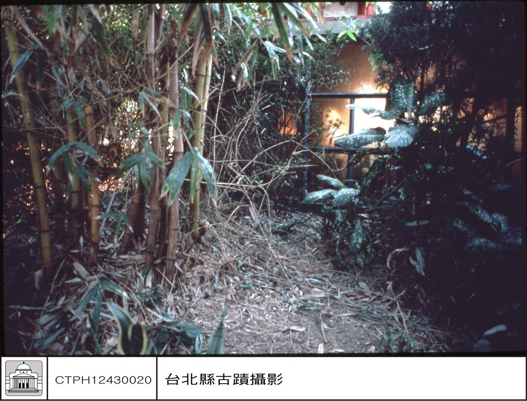 大圖瀏覽