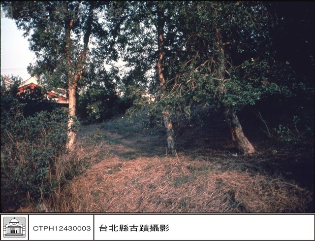 後左側藏品圖，第1張