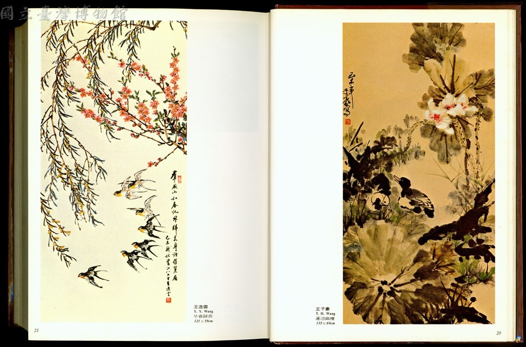 大圖瀏覽