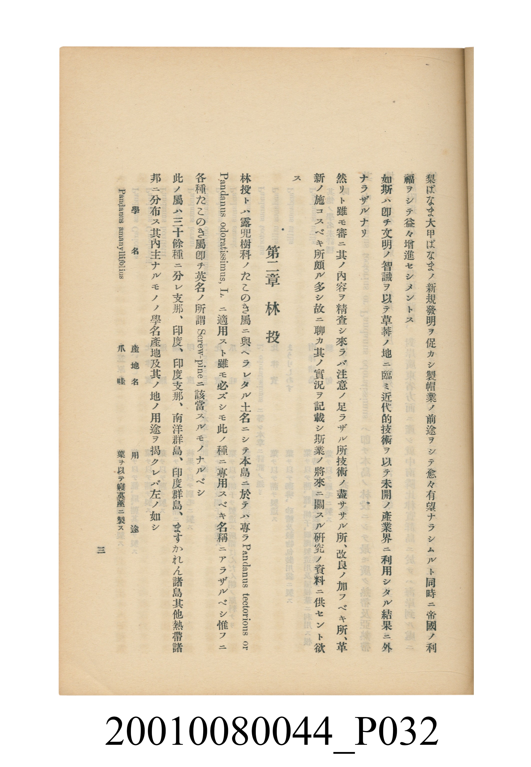 臺灣總督府民政部殖產局發行《林投帽製造業調查》 (共254張)
