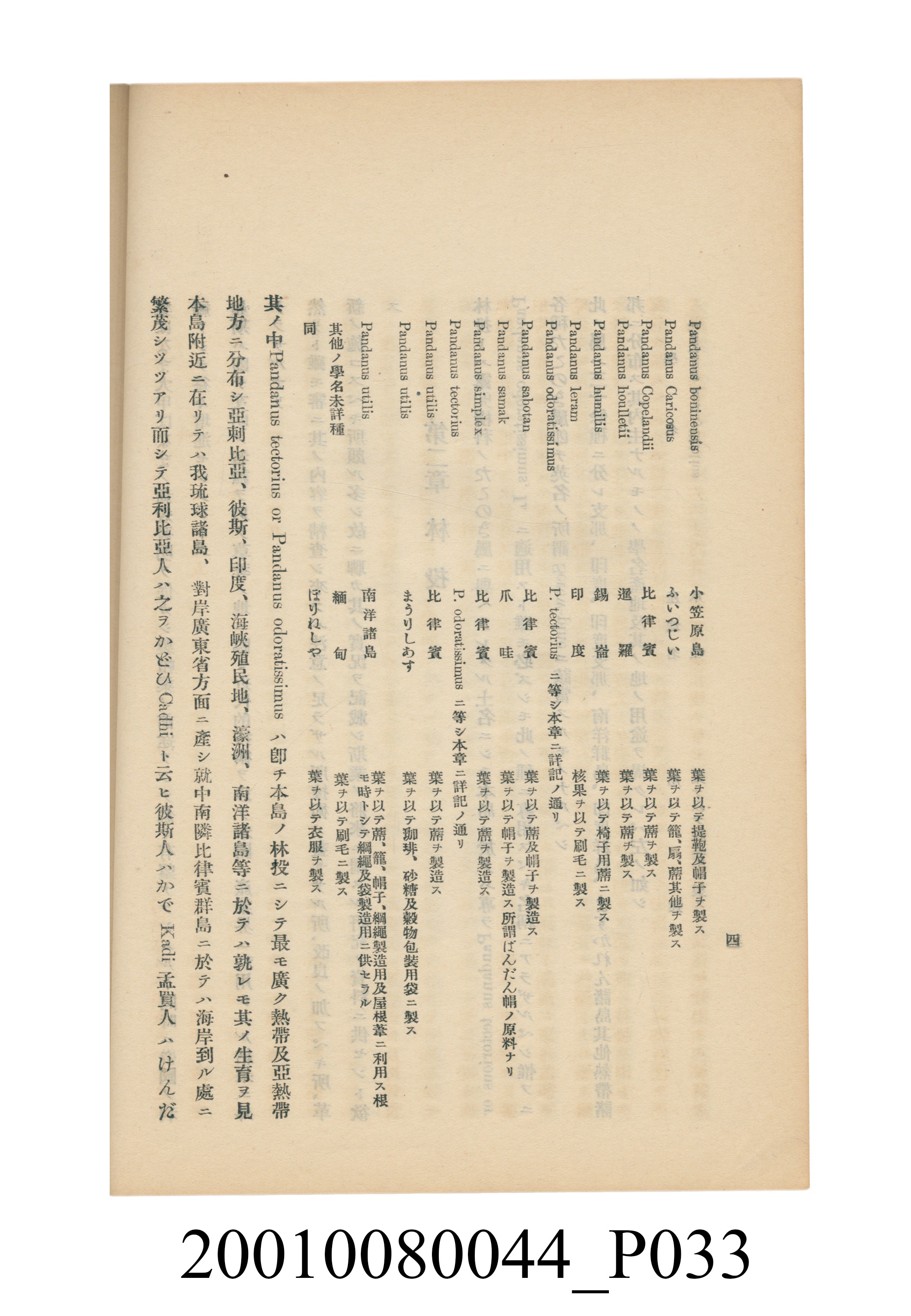 臺灣總督府民政部殖產局發行《林投帽製造業調查》 (共254張)
