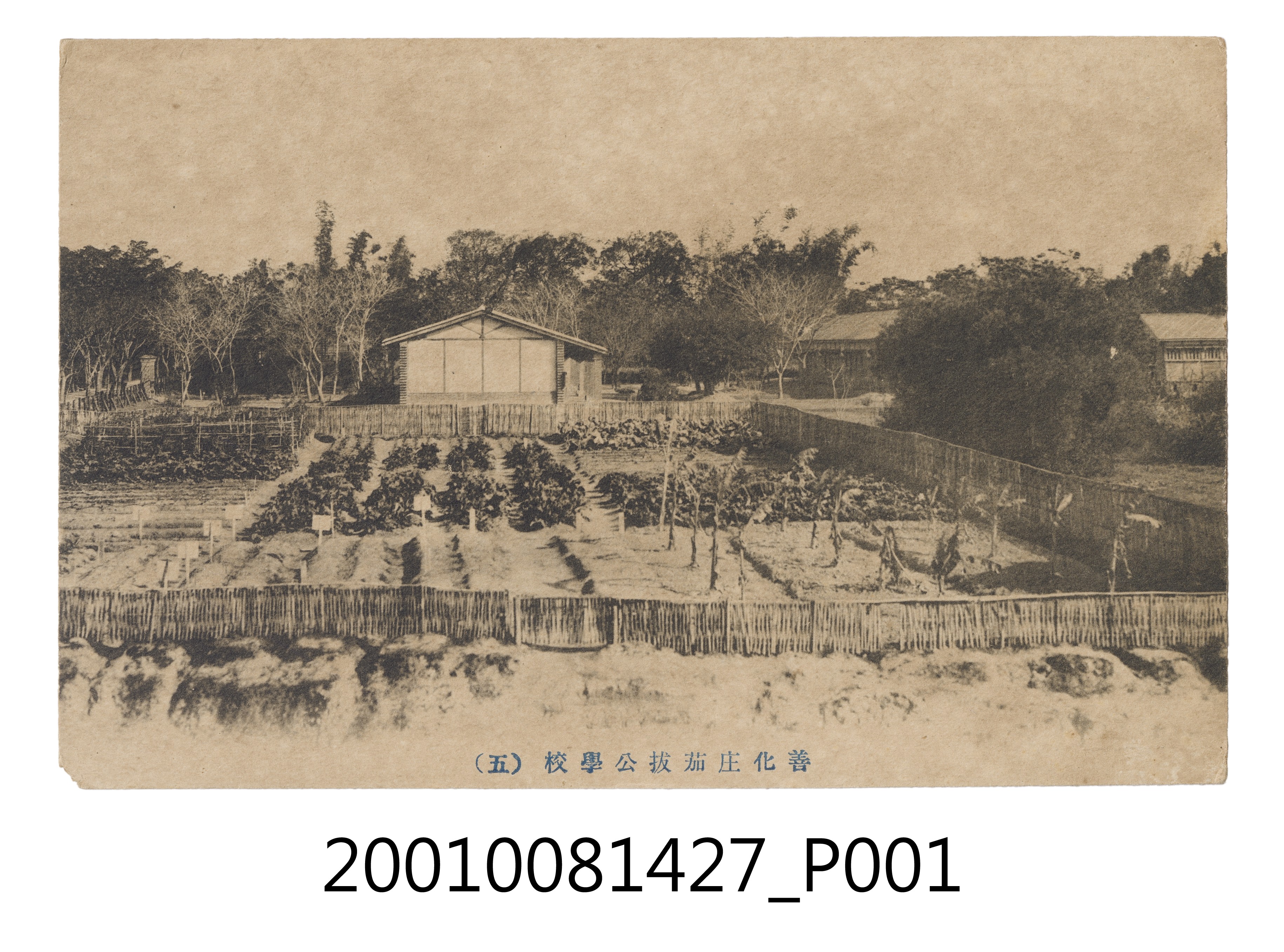 善化庄茄拔公學校 (共4張)