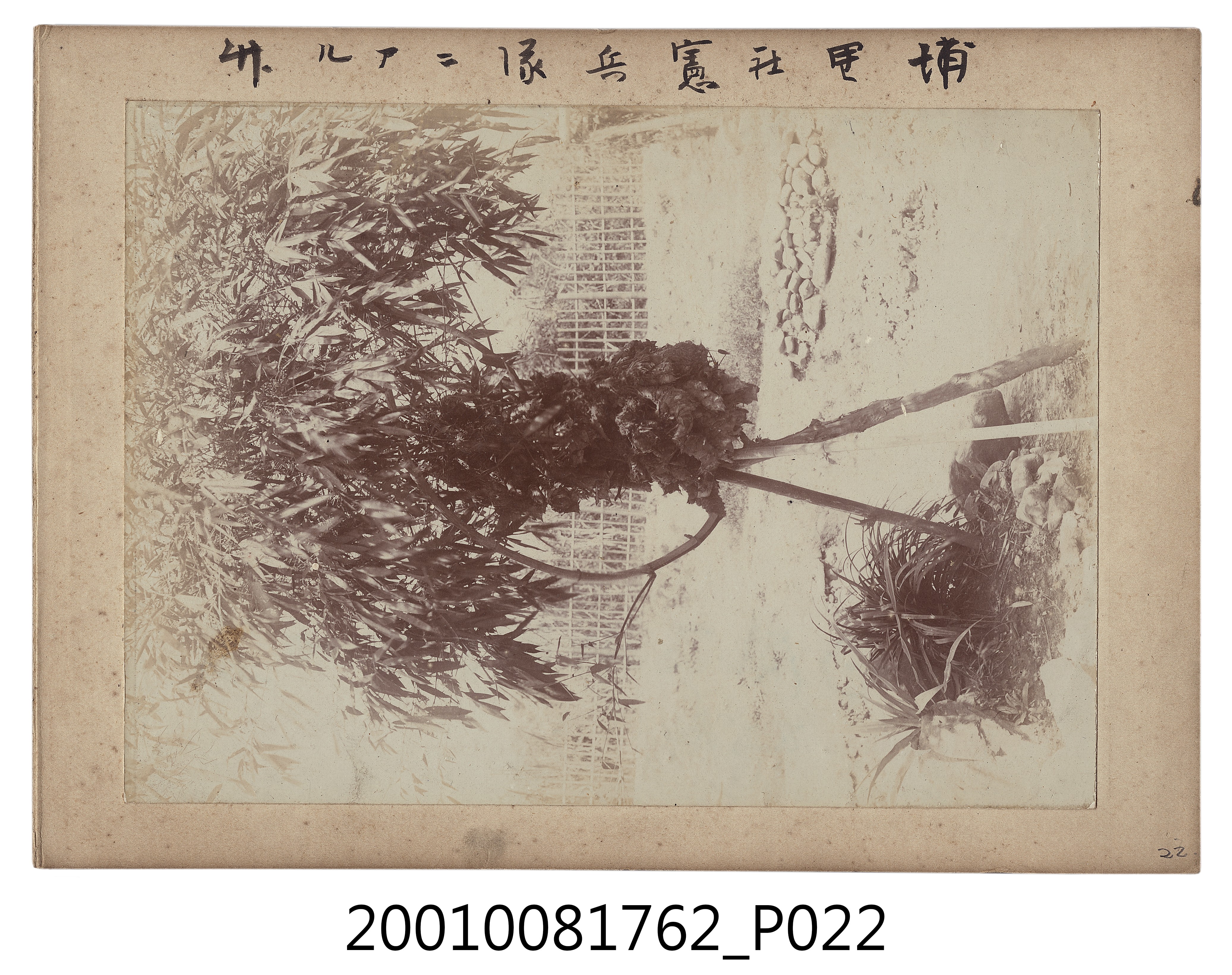 《臺灣全島景風俗寫真》上冊 (共30張)