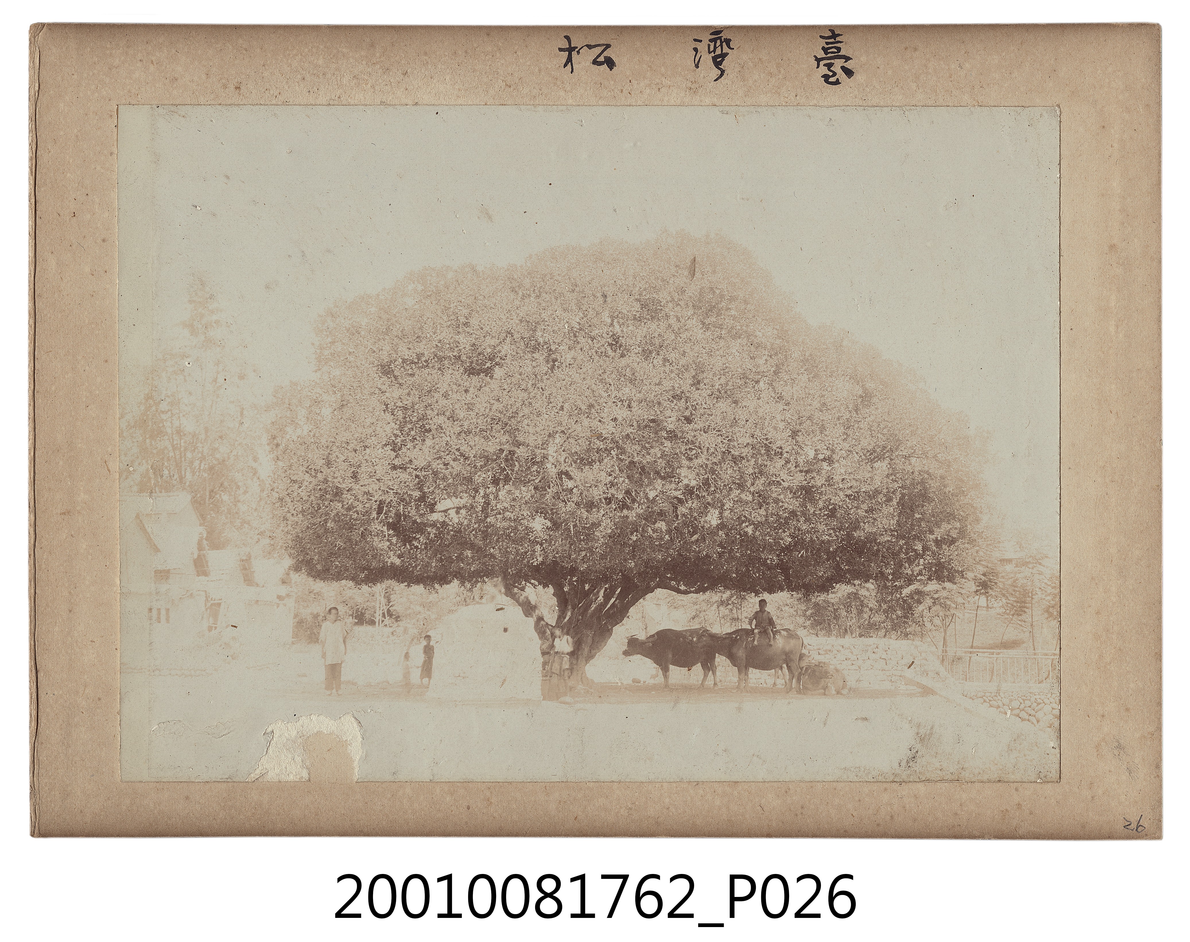《臺灣全島景風俗寫真》上冊 (共30張)