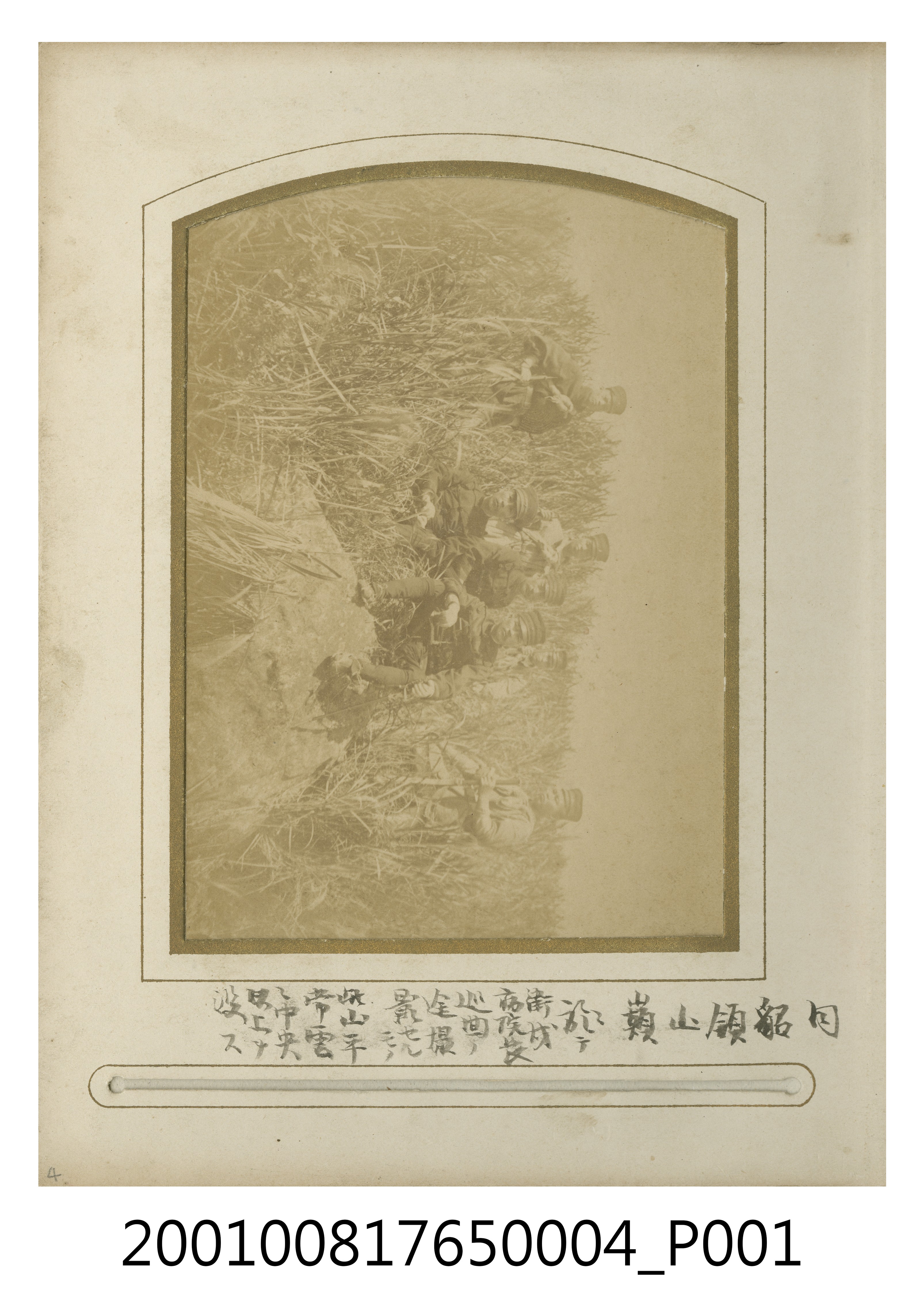 貂領山巔 (共1張)