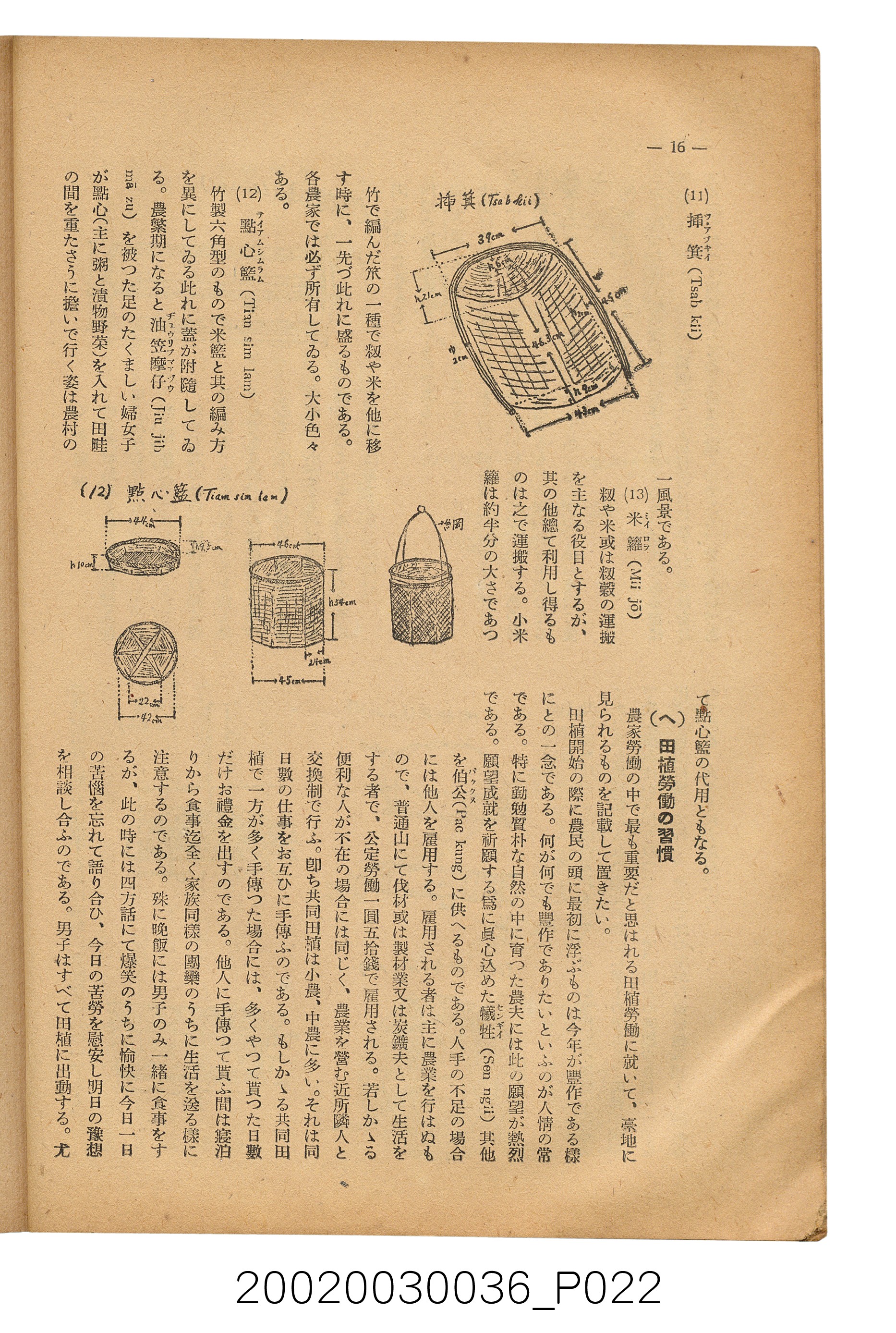 金關丈夫編《民俗臺灣》第四卷第五號 (共65張)