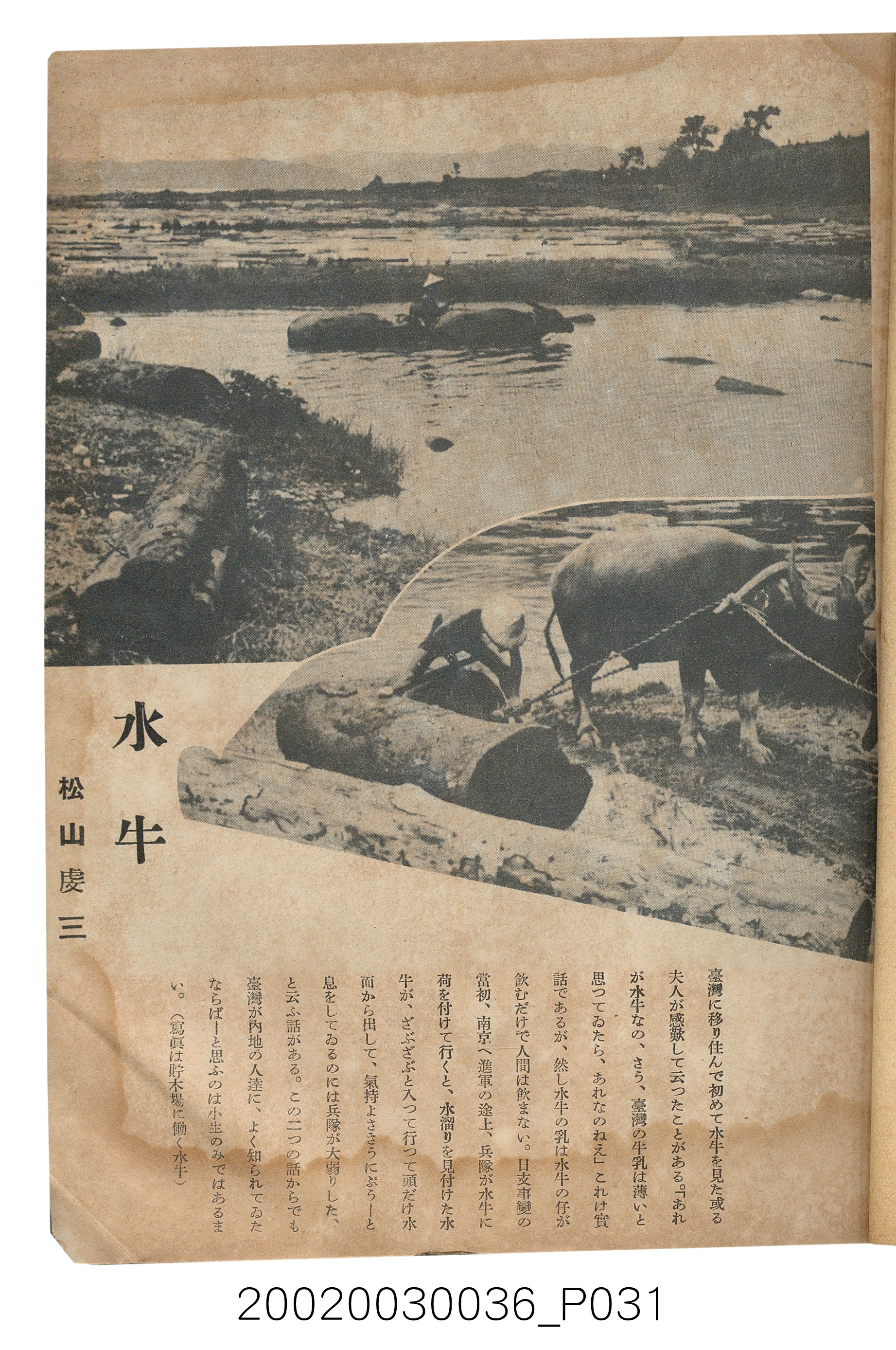 金關丈夫編《民俗臺灣》第四卷第五號 (共65張)