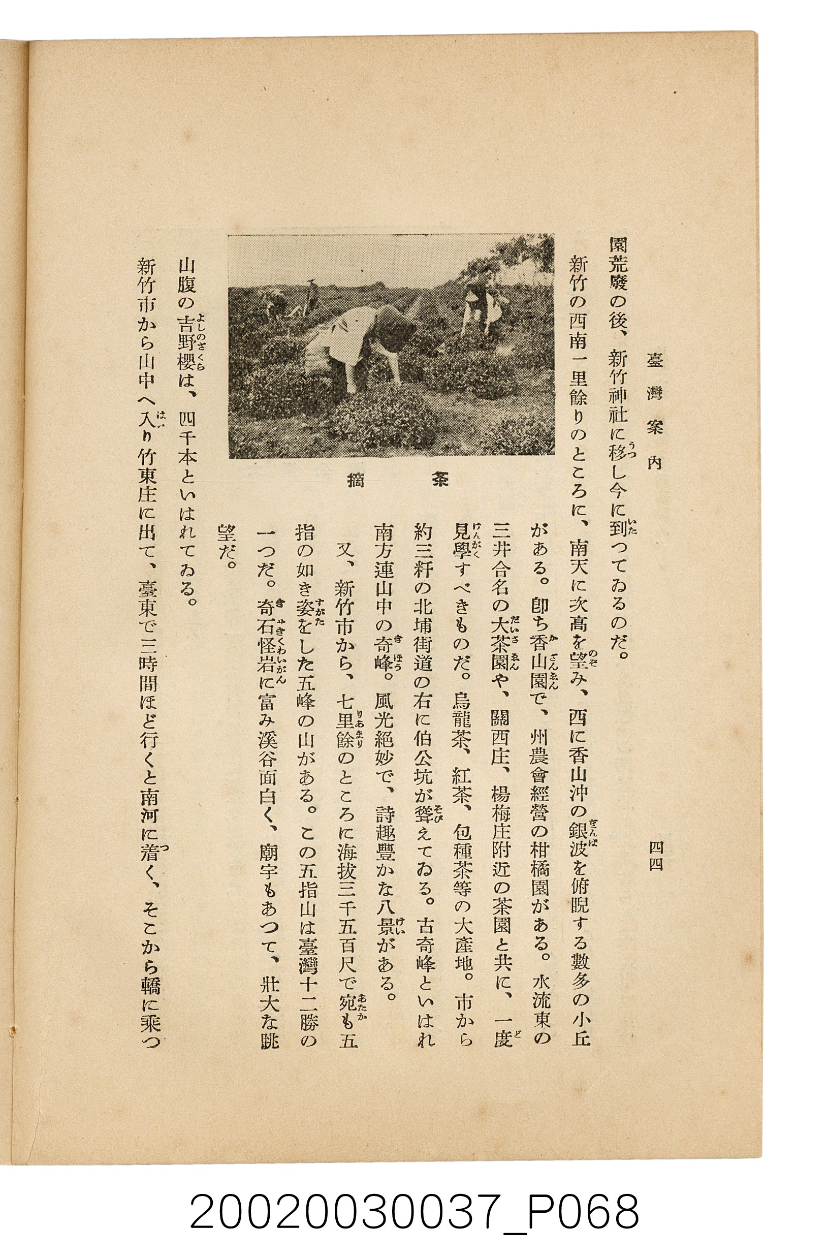 井東憲著《臺灣案內》 (共336張)