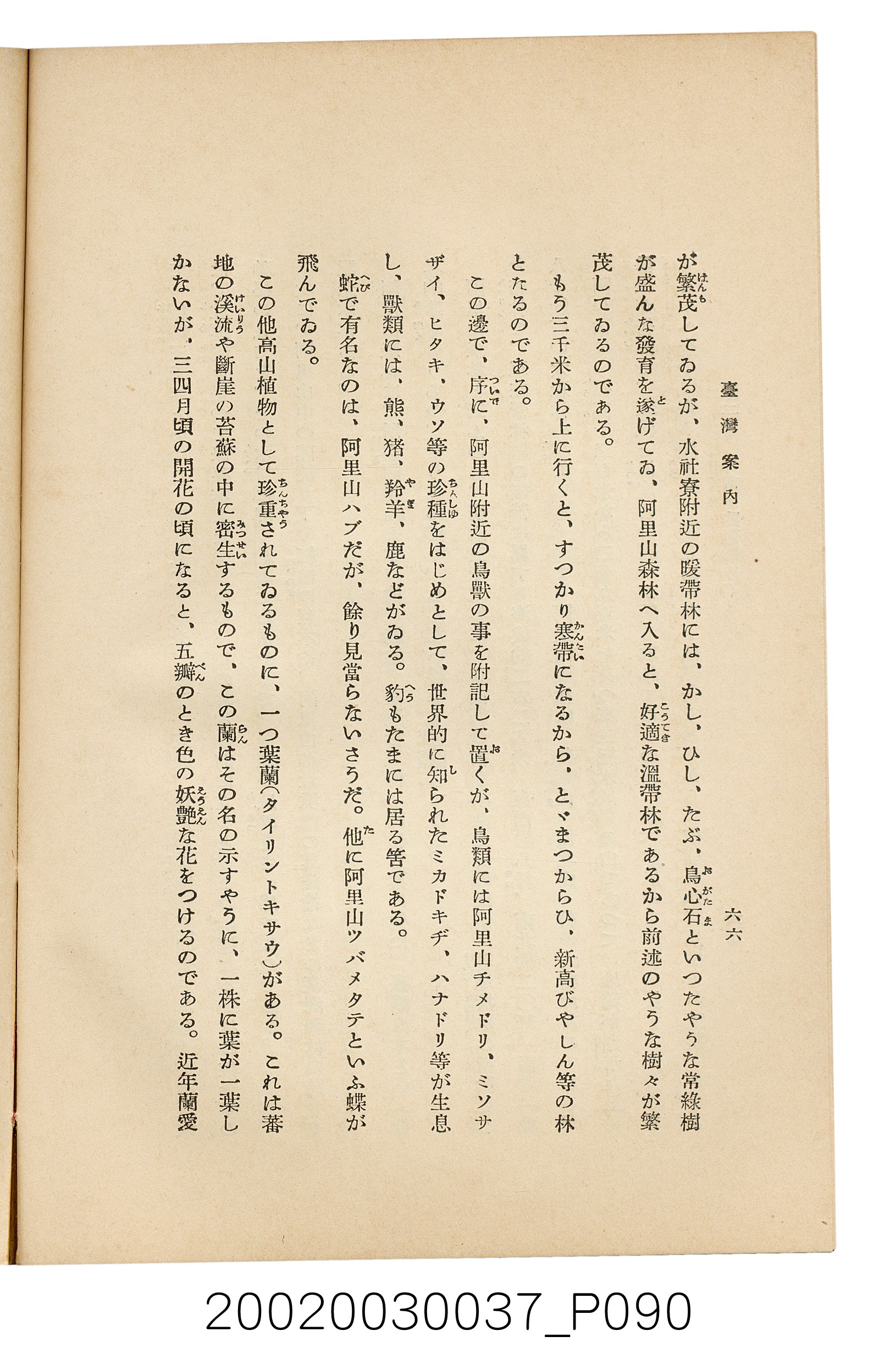 井東憲著《臺灣案內》 (共336張)