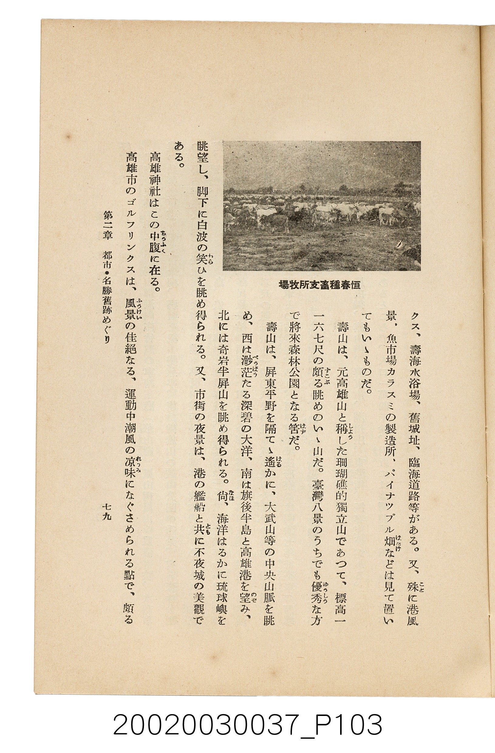 井東憲著《臺灣案內》 (共336張)