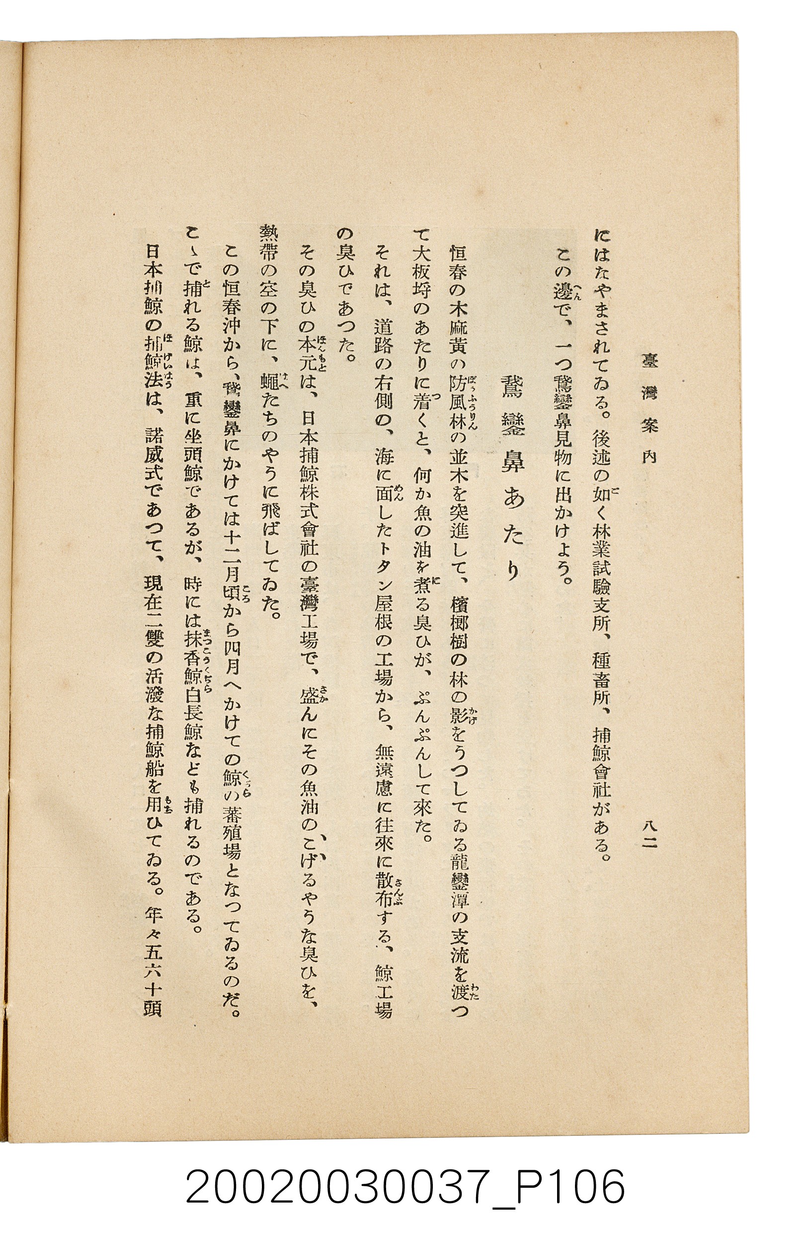 井東憲著《臺灣案內》 (共336張)