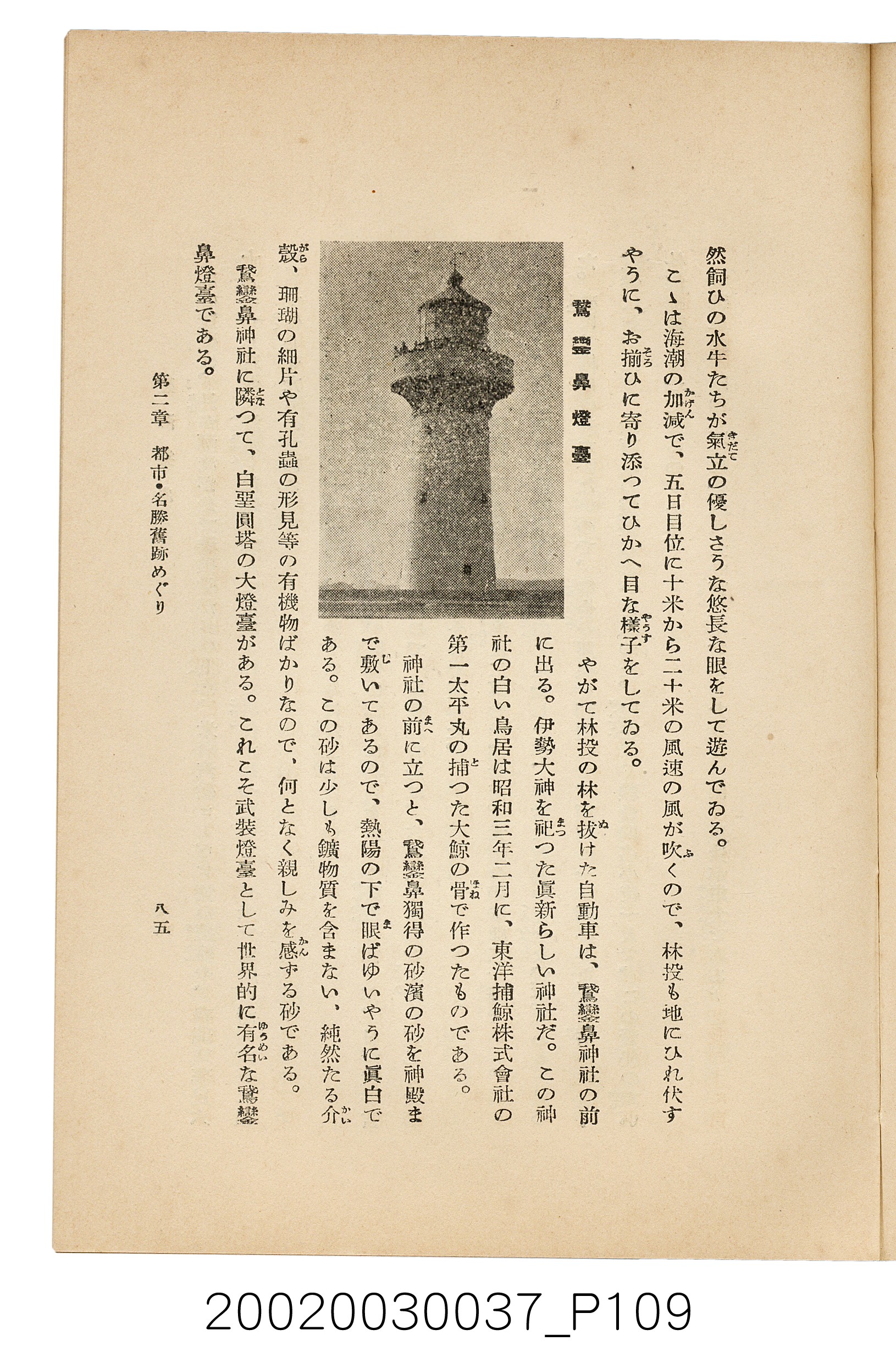 井東憲著《臺灣案內》 (共336張)