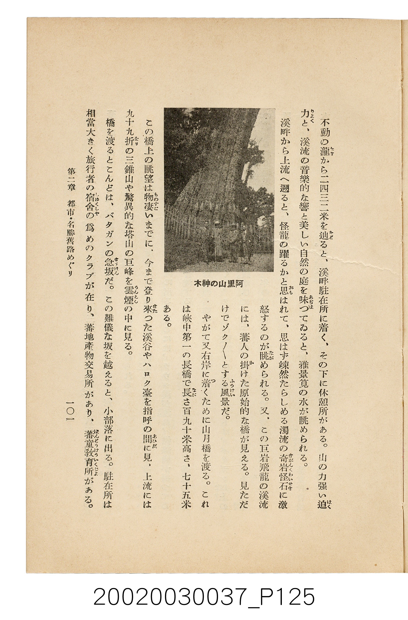 井東憲著《臺灣案內》 (共336張)