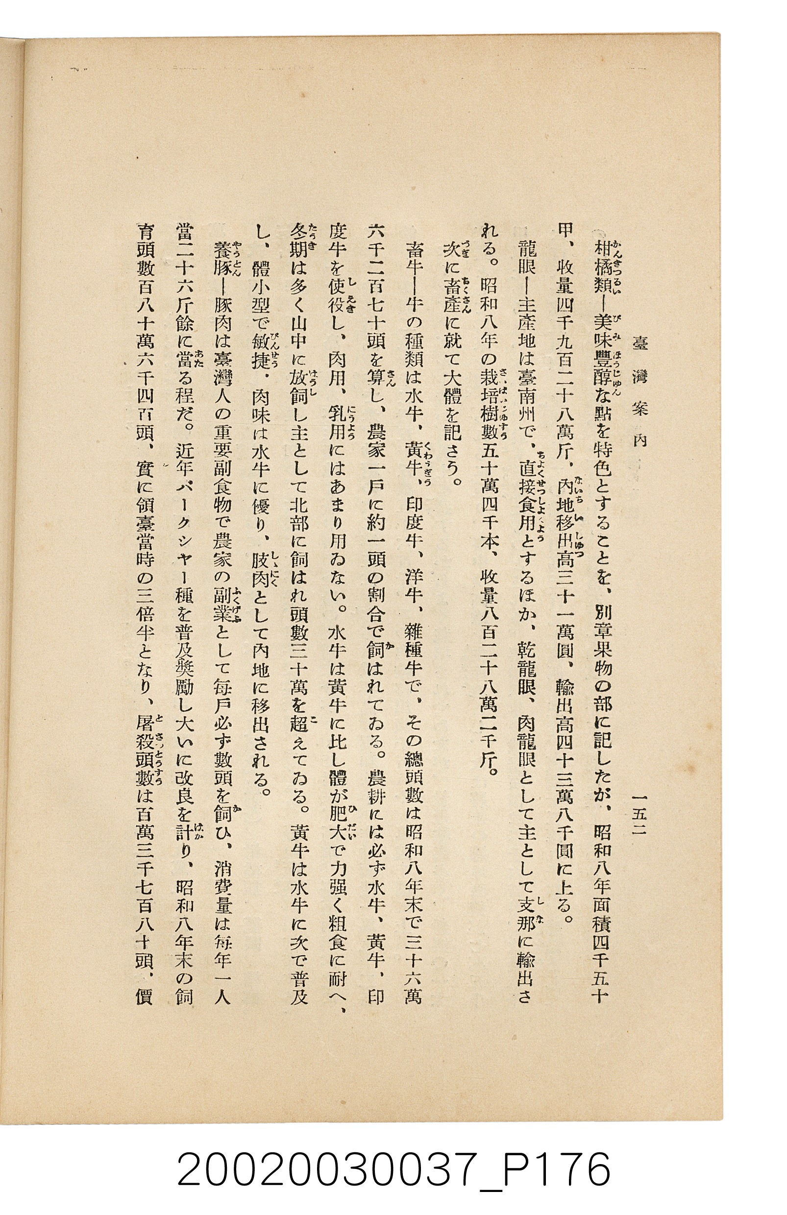井東憲著《臺灣案內》 (共336張)