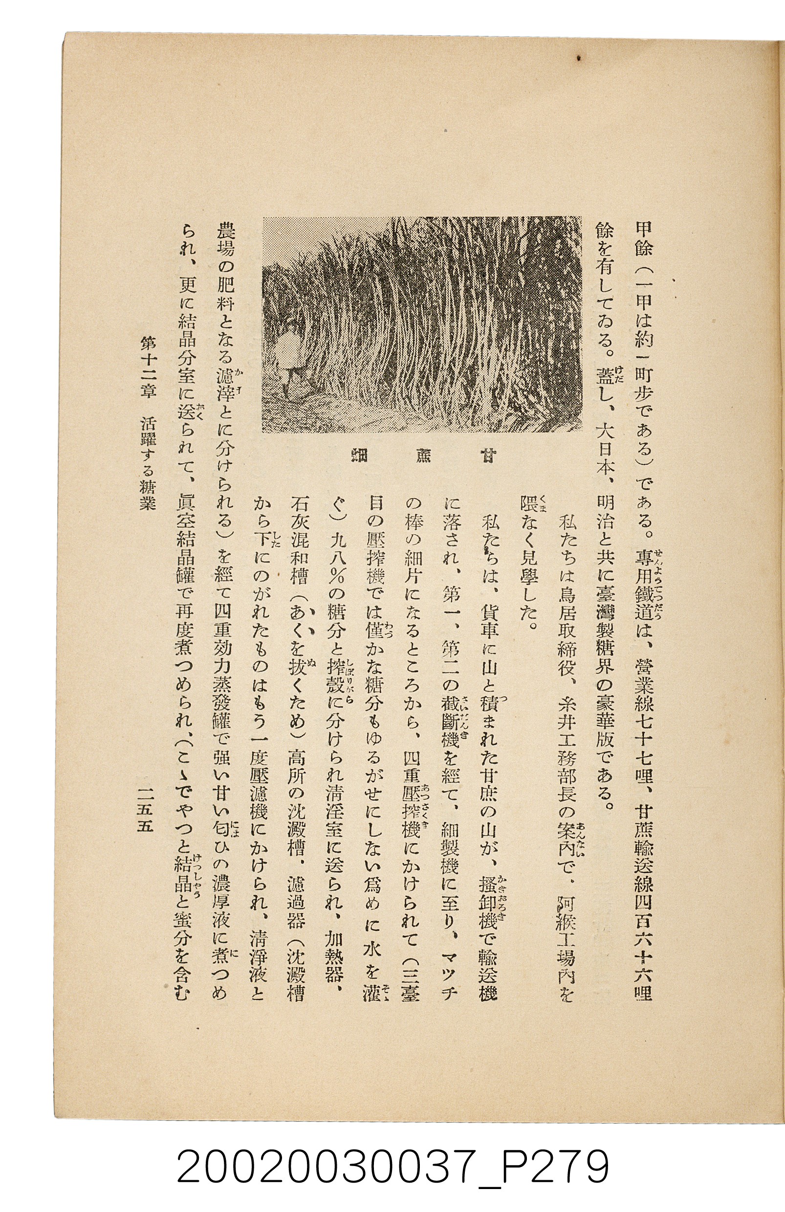井東憲著《臺灣案內》 (共336張)