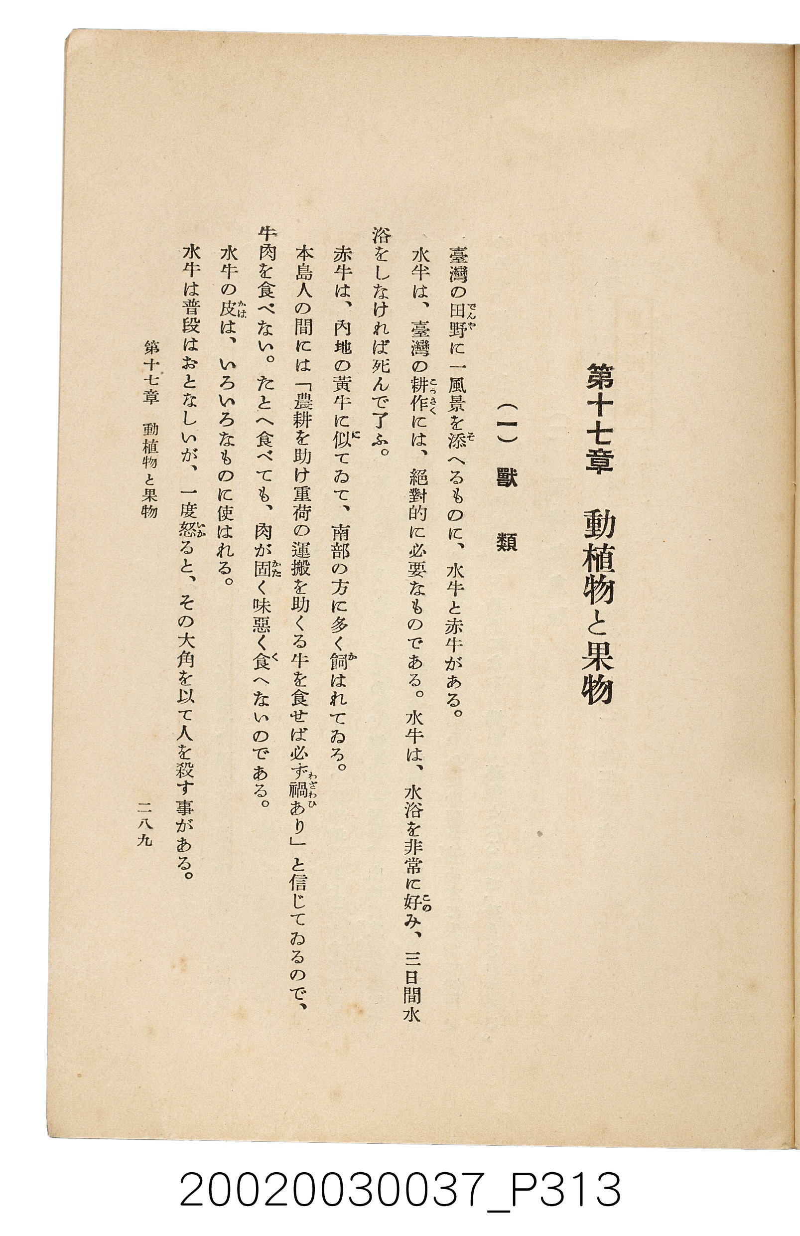 井東憲著《臺灣案內》 (共336張)