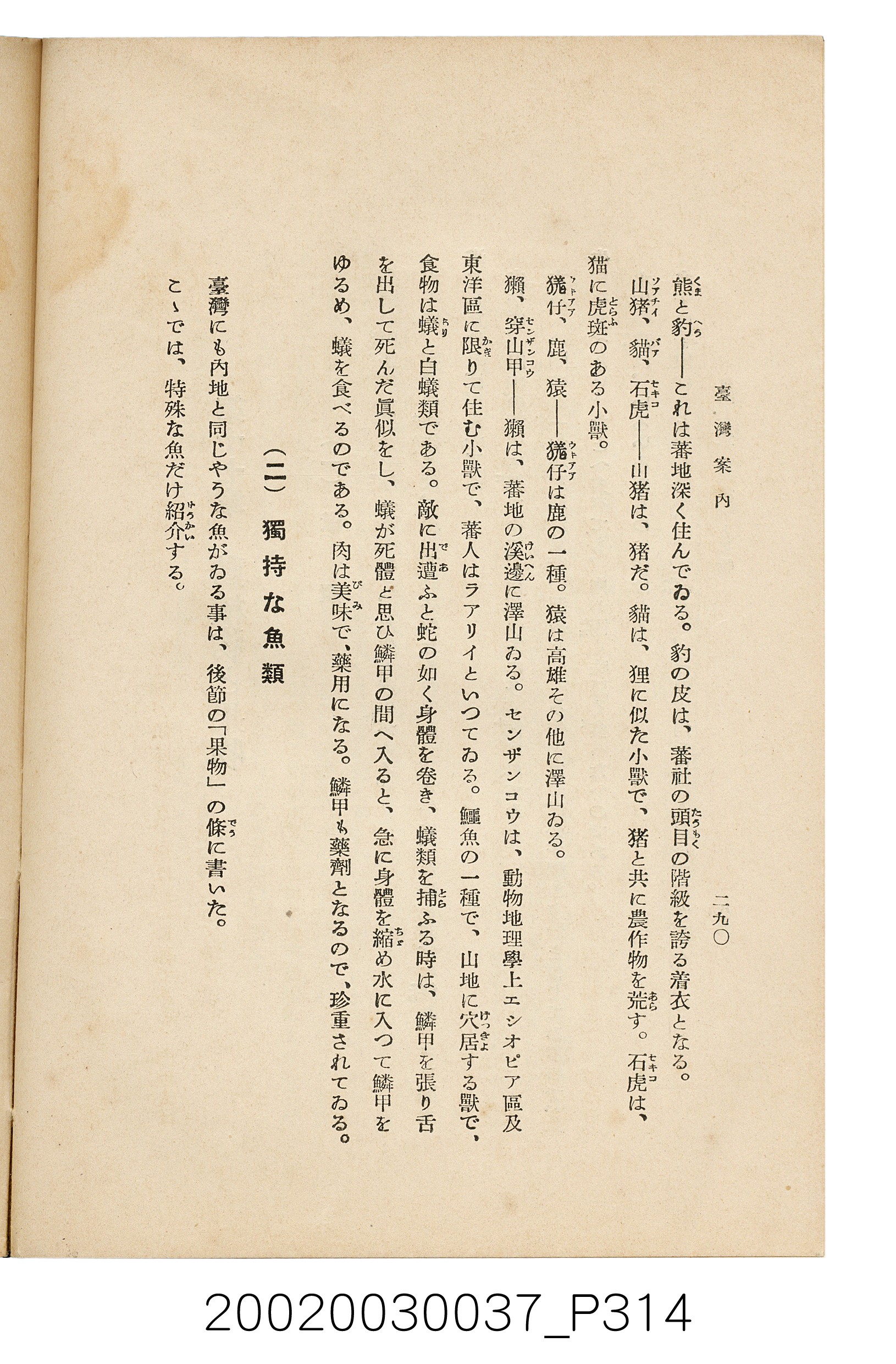 井東憲著《臺灣案內》 (共336張)