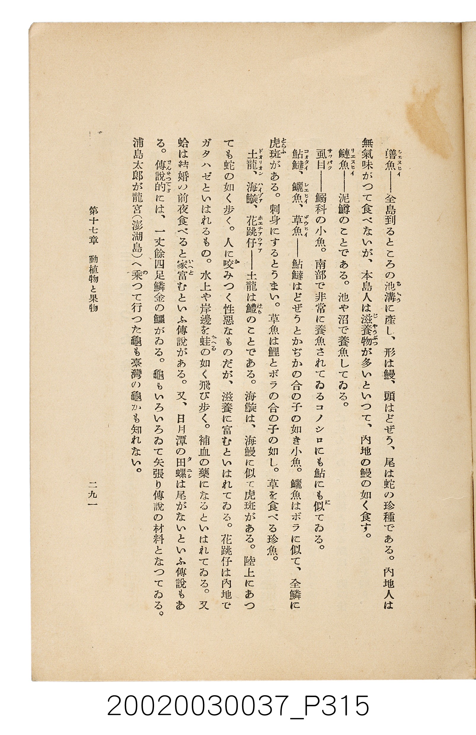 井東憲著《臺灣案內》 (共336張)