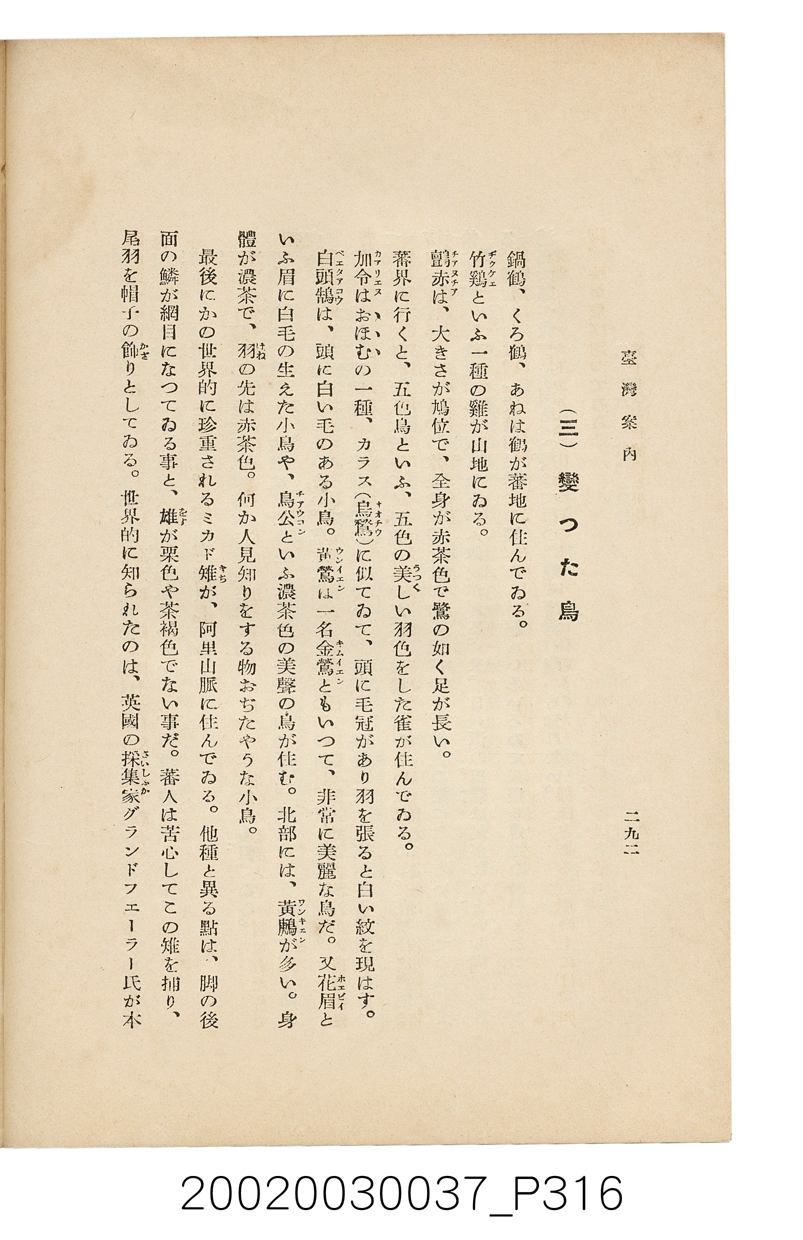 井東憲著《臺灣案內》 (共336張)