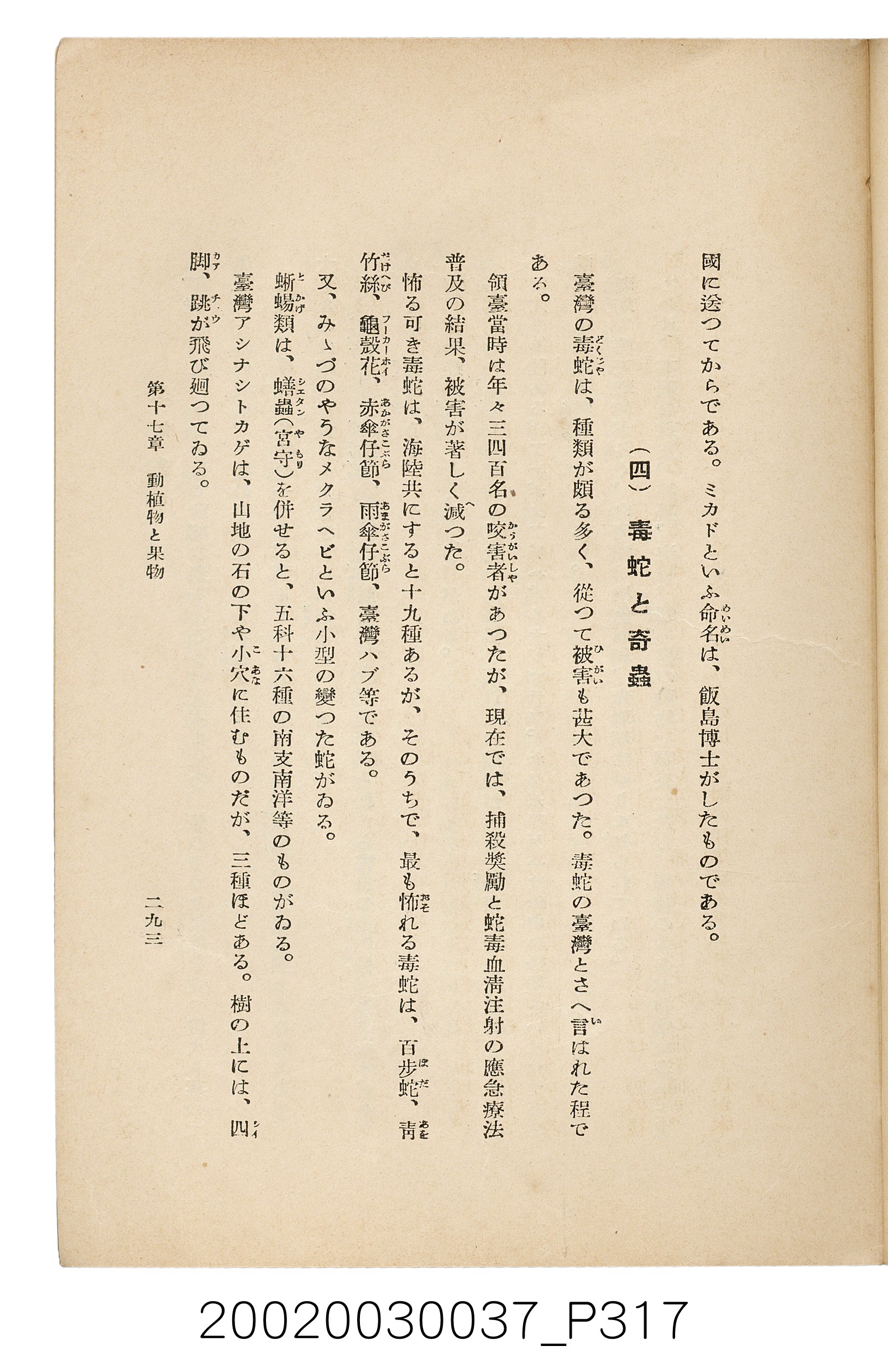 井東憲著《臺灣案內》 (共336張)