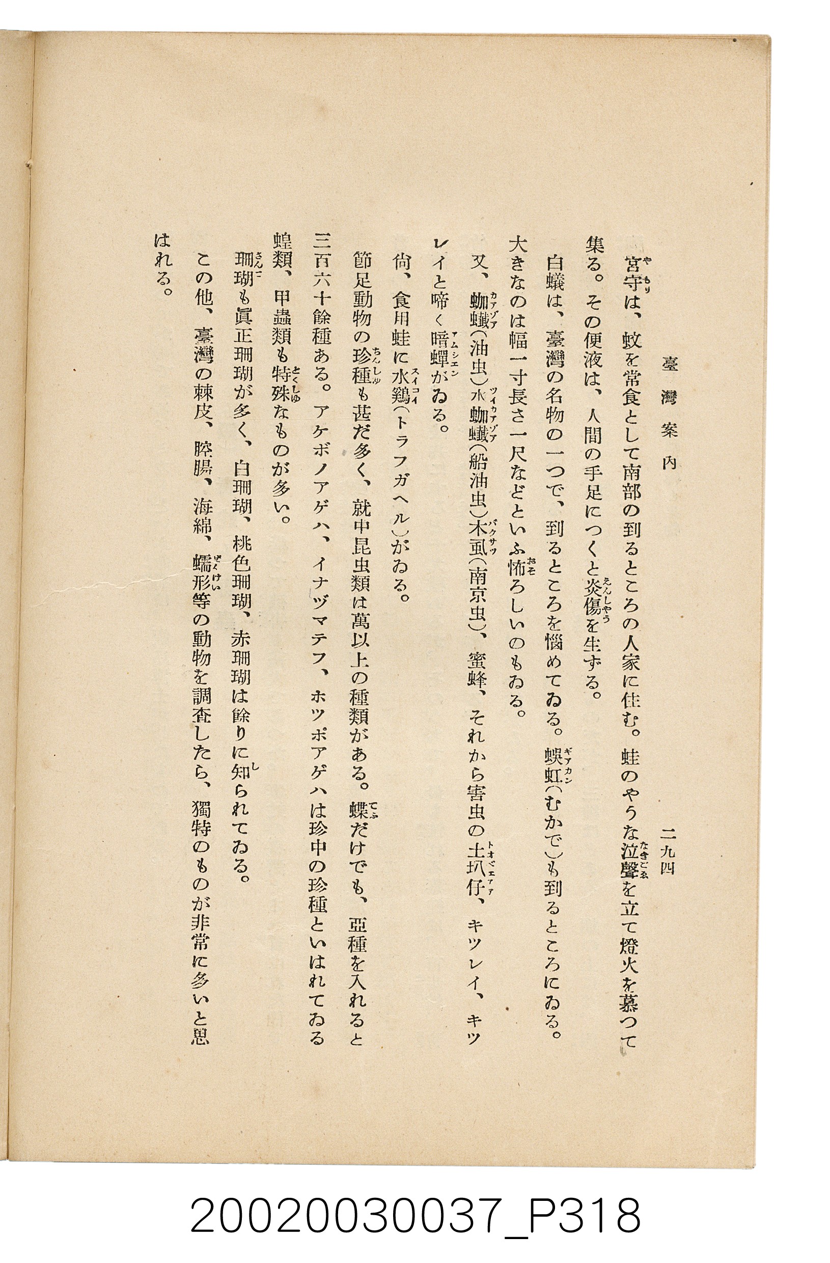 井東憲著《臺灣案內》 (共336張)