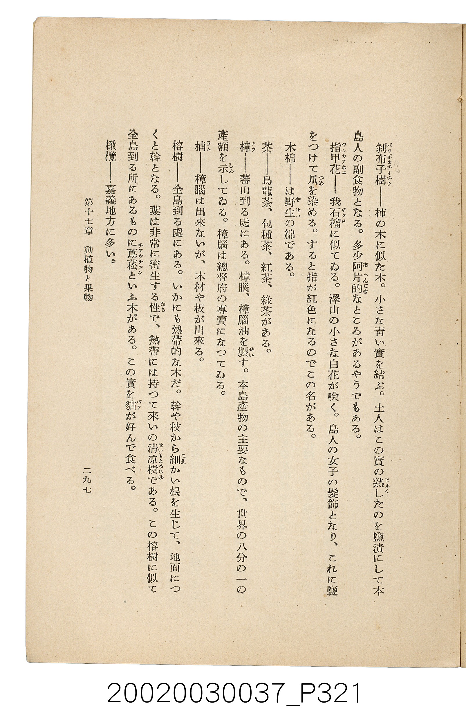 井東憲著《臺灣案內》 (共336張)