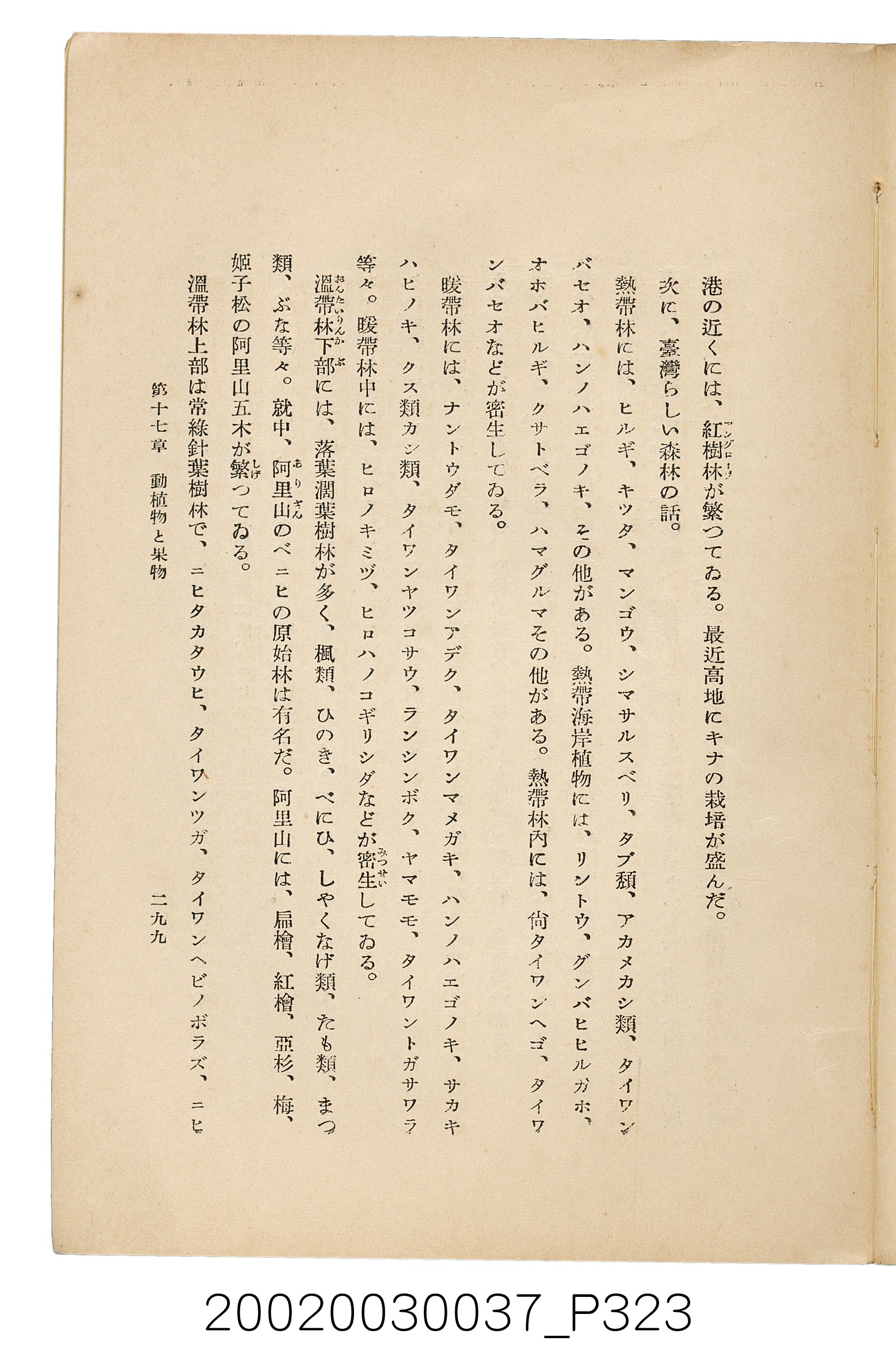 井東憲著《臺灣案內》 (共336張)