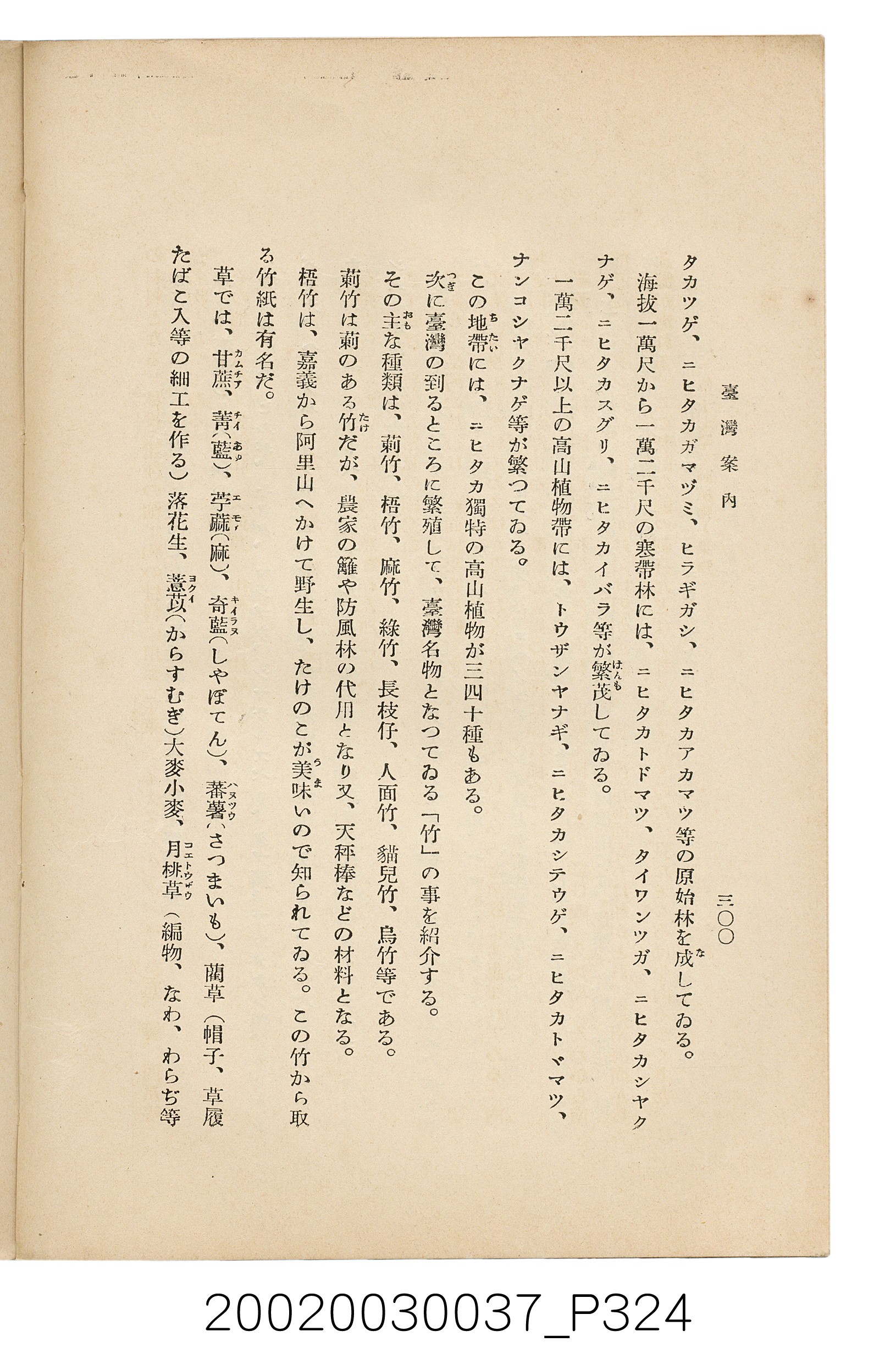 井東憲著《臺灣案內》 (共336張)