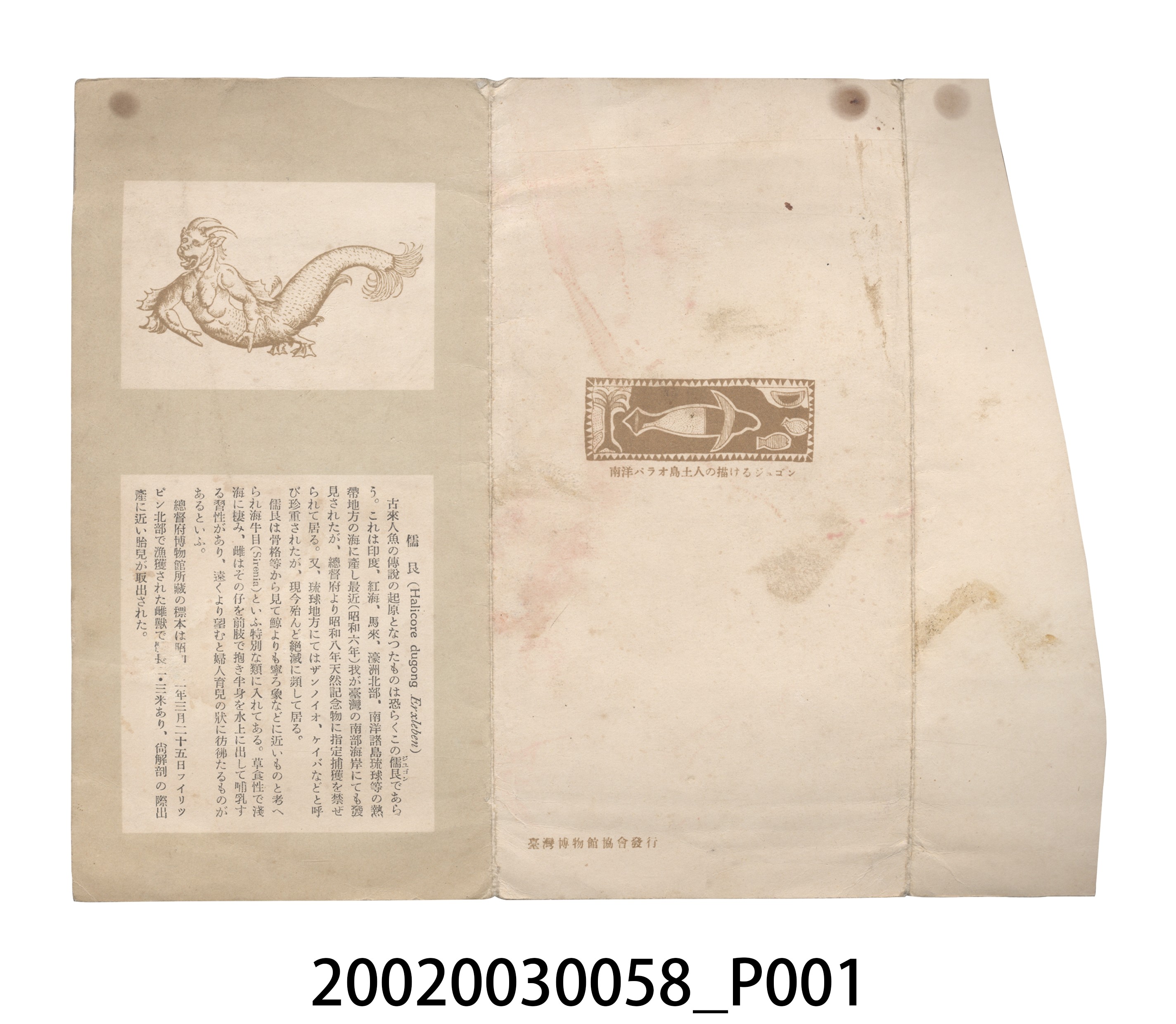 儒艮人魚圖文說明板 (共10張)