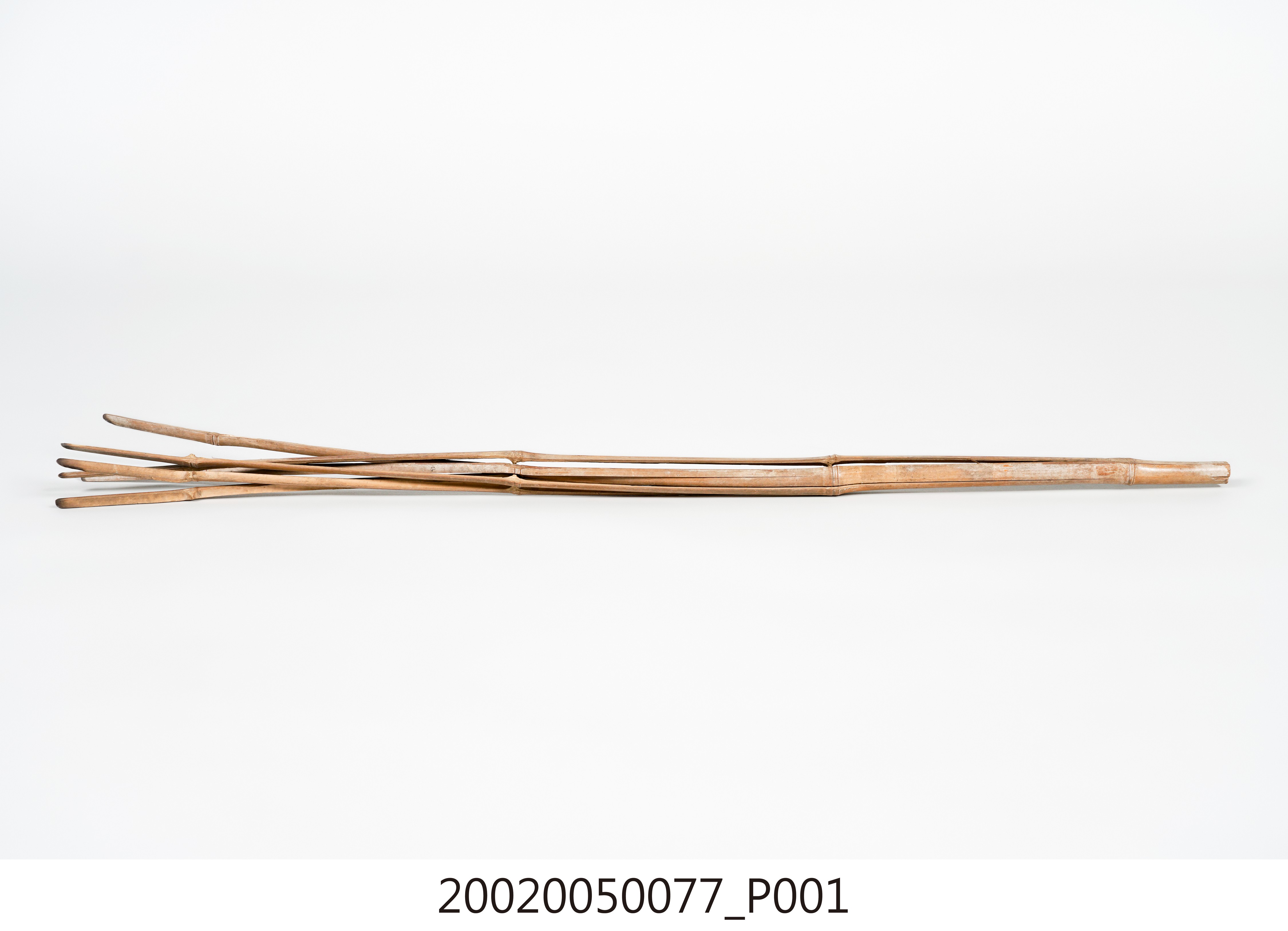 雞箠 (共4張)