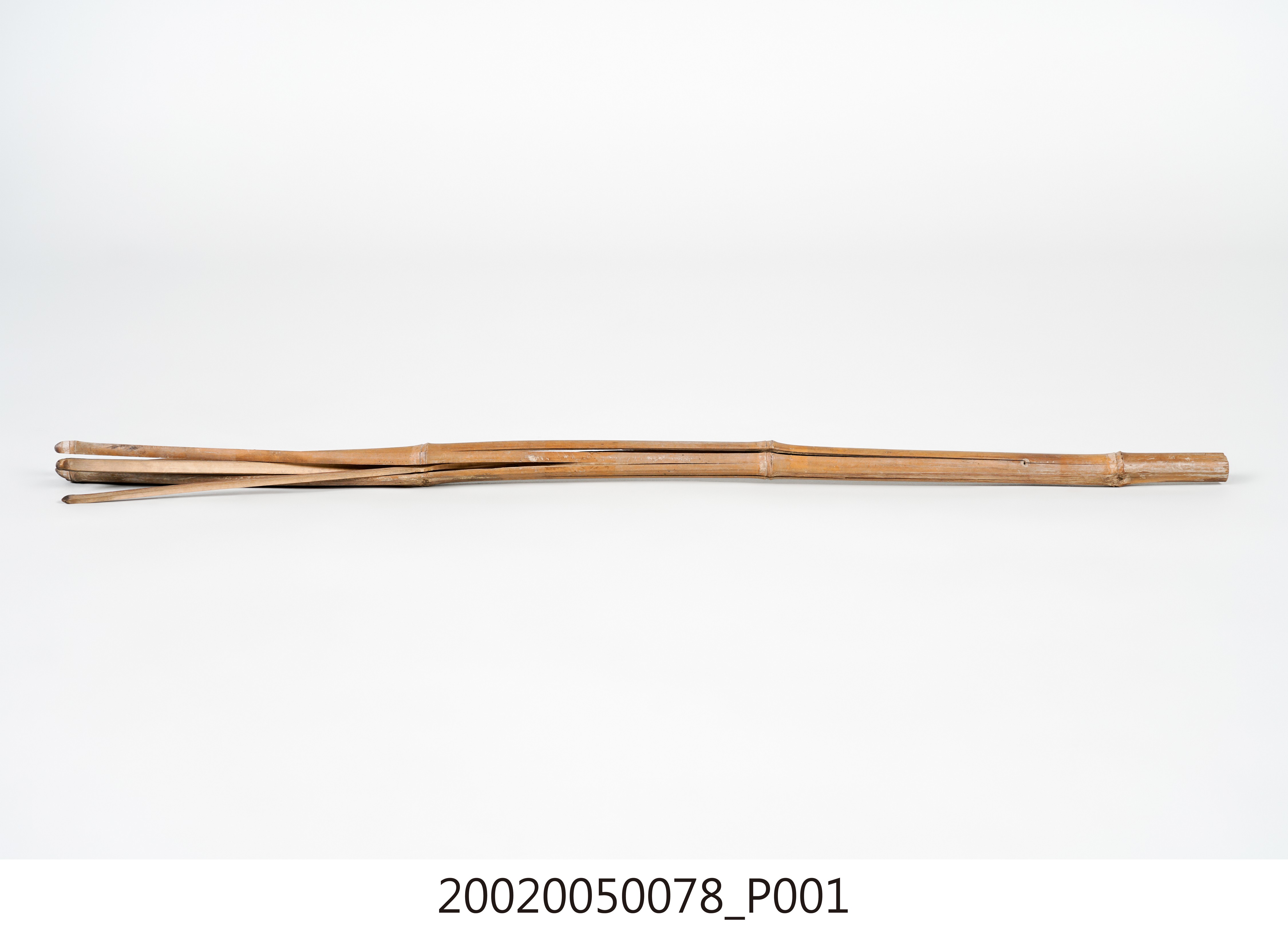 雞箠 (共4張)