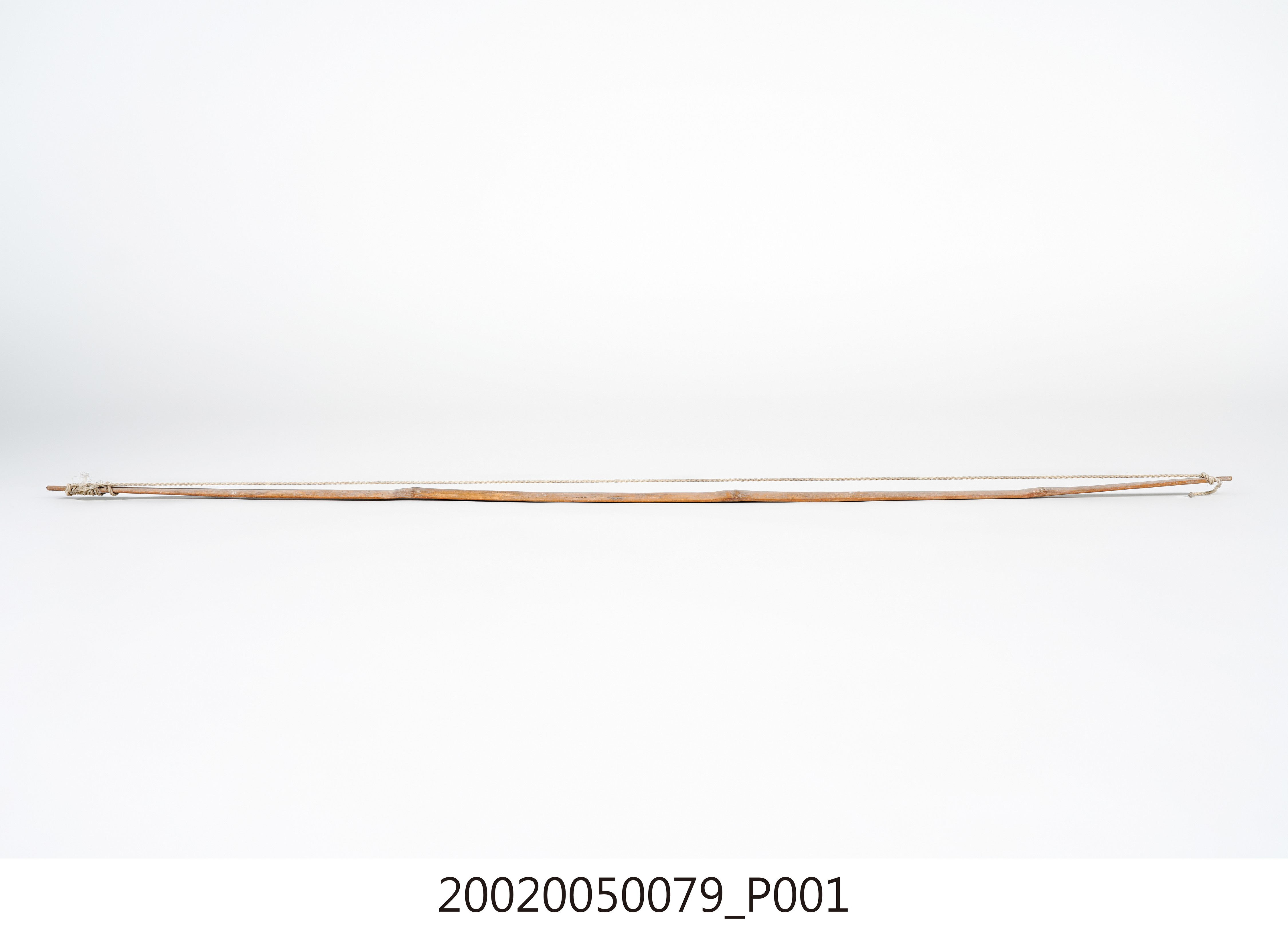 竹弓 (共4張)