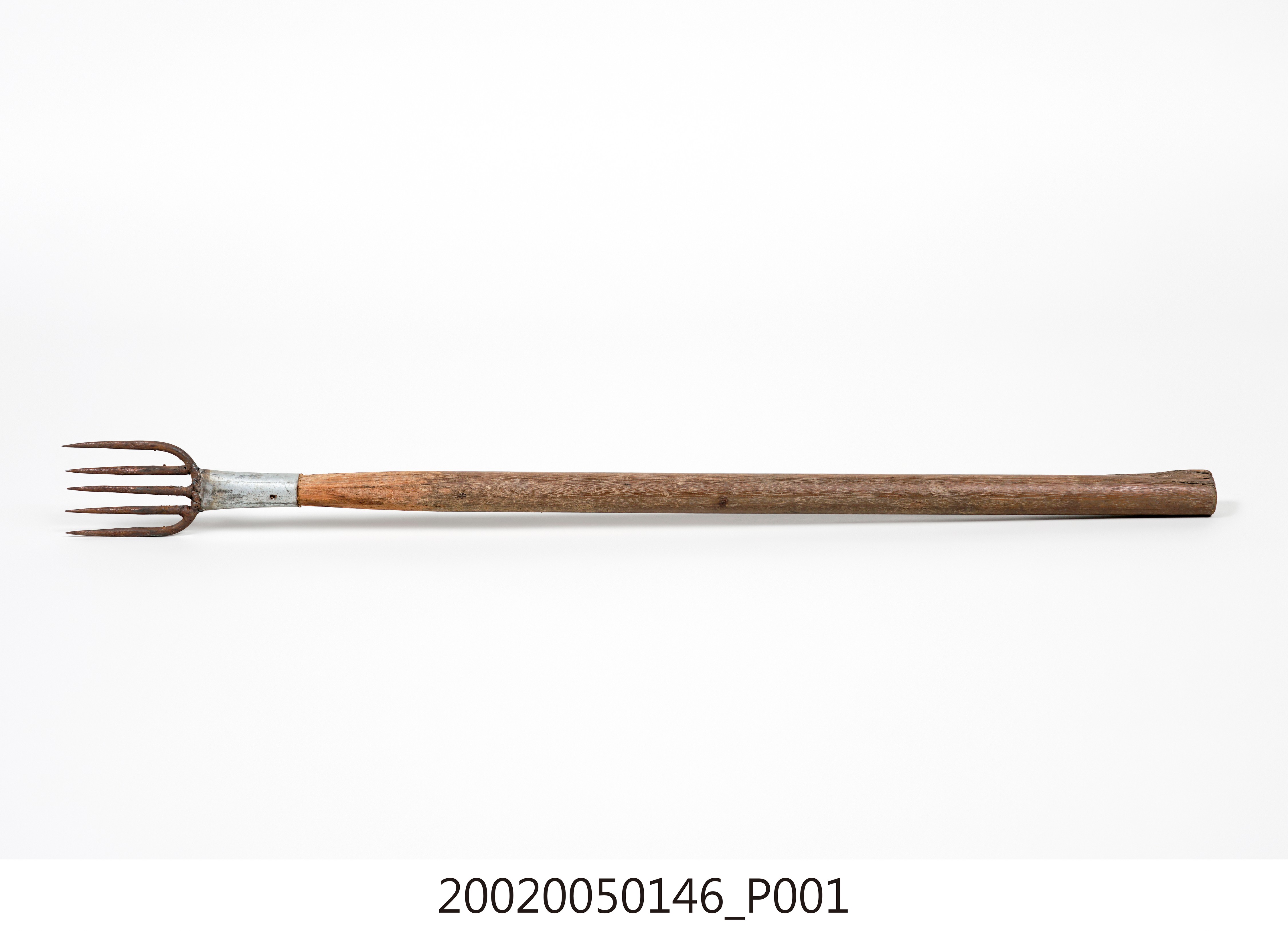 魚叉 (共4張)