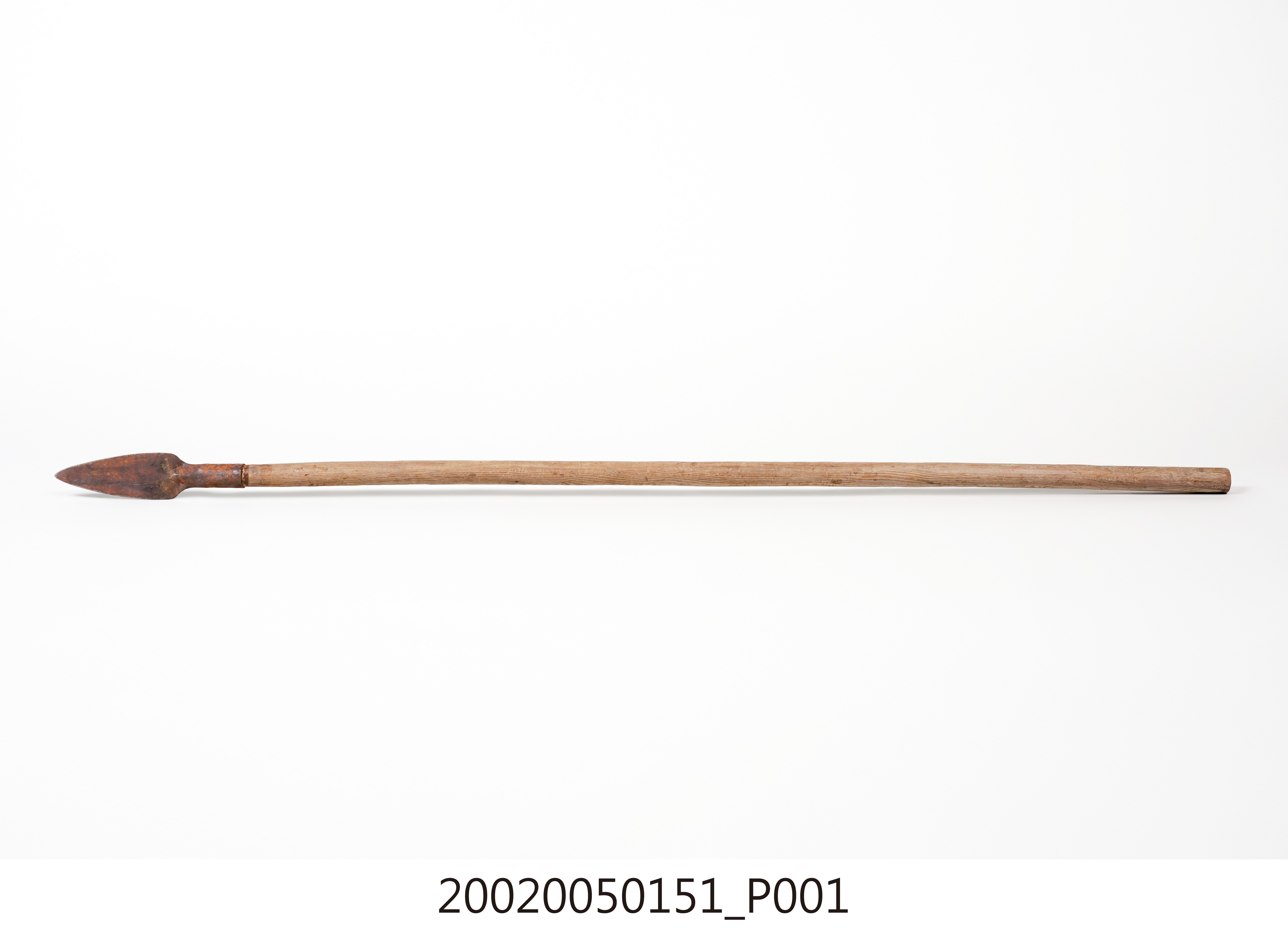 標槍 (共4張)