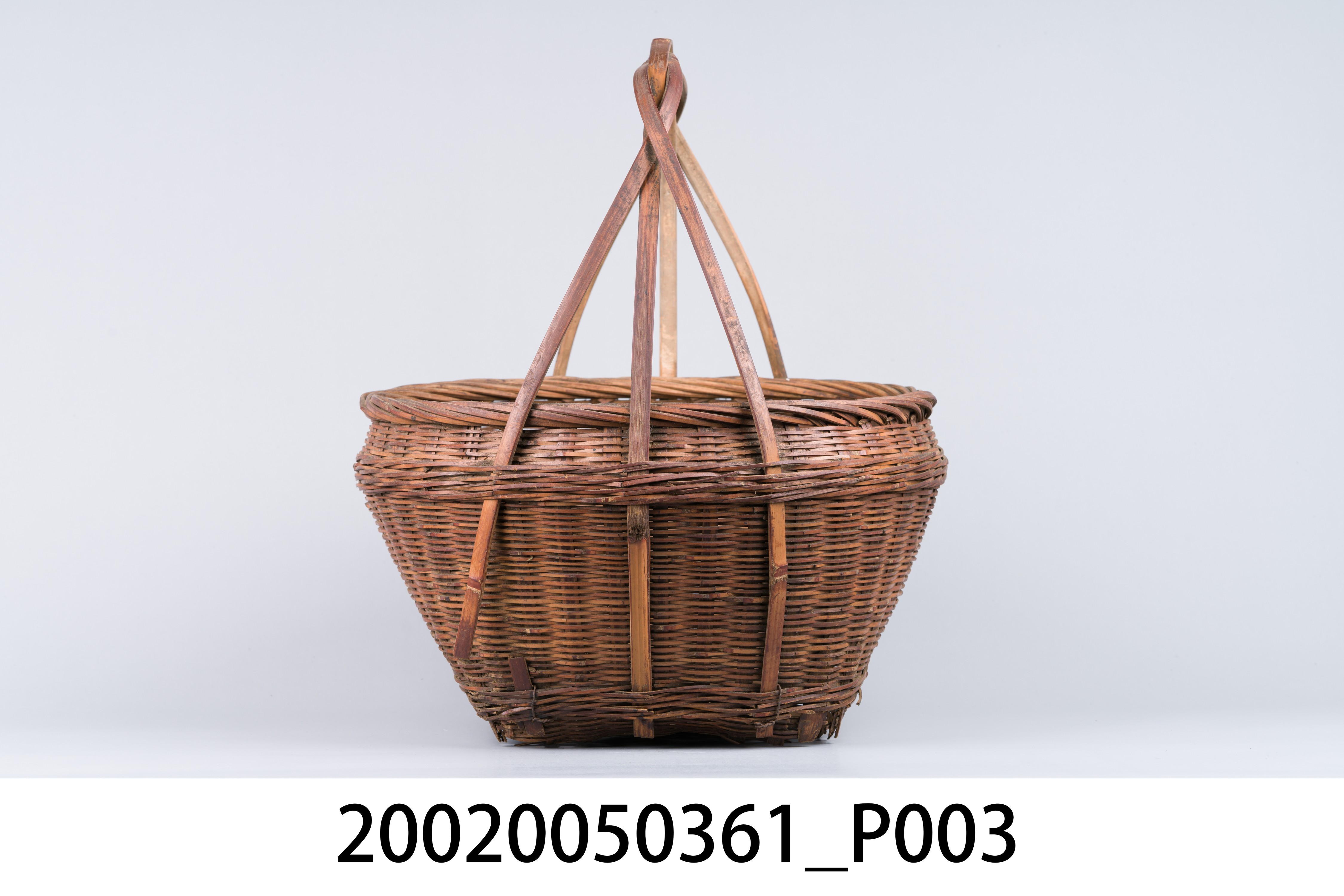 種籽籃 (共11張)