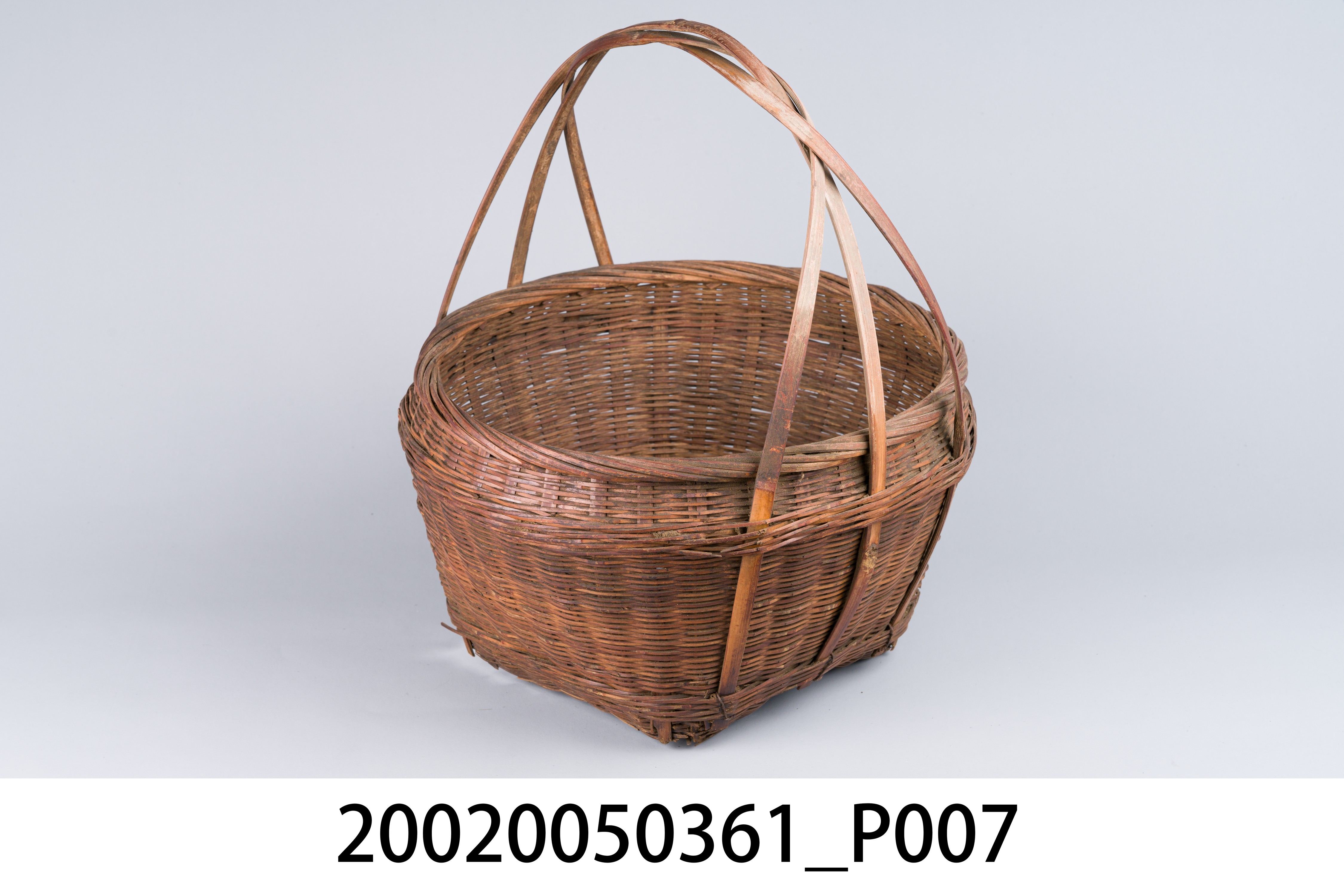 種籽籃 (共11張)