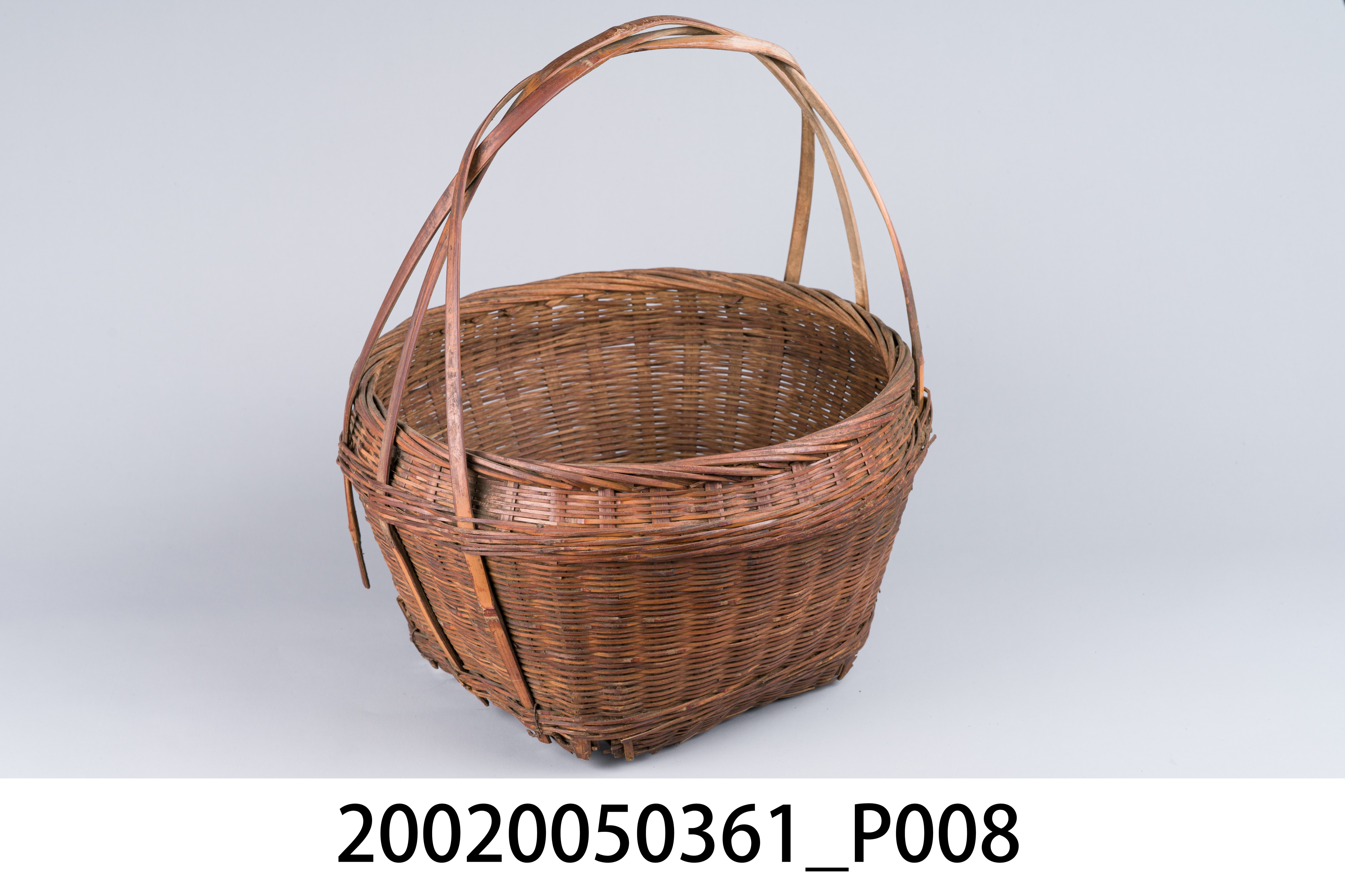 種籽籃 (共11張)