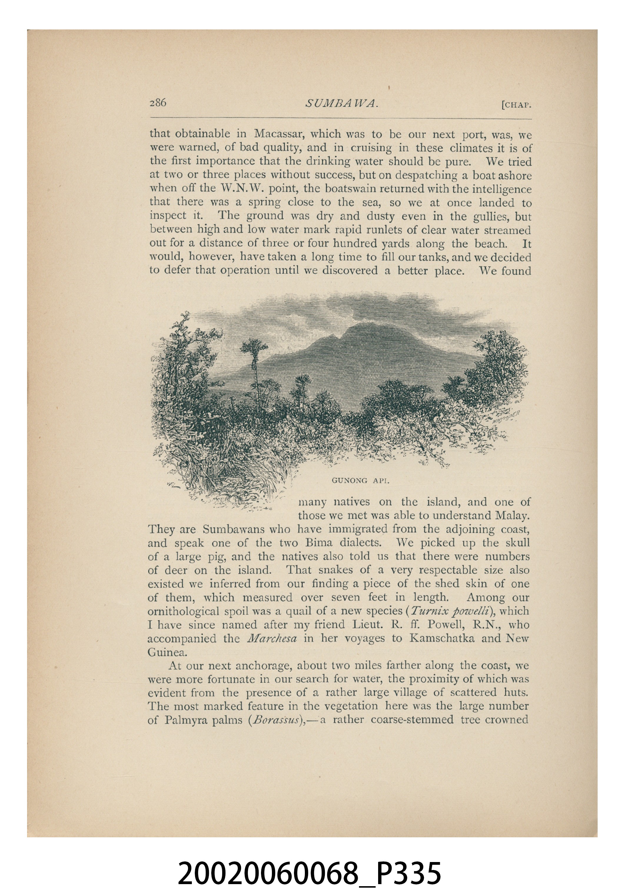 基勒馬德著《馬徹沙號巡航勘察加半島與新幾內亞，以及對福爾摩沙、琉球與馬來諸島的記錄》 (共518張)